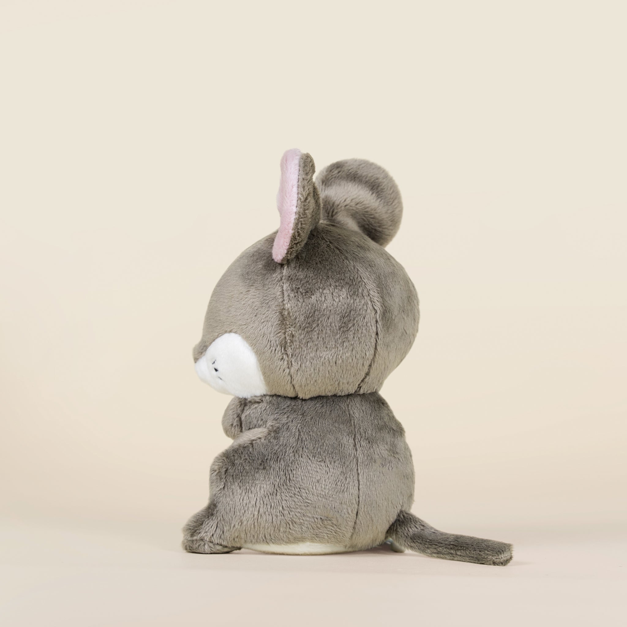 Mini Mousi the Mouse