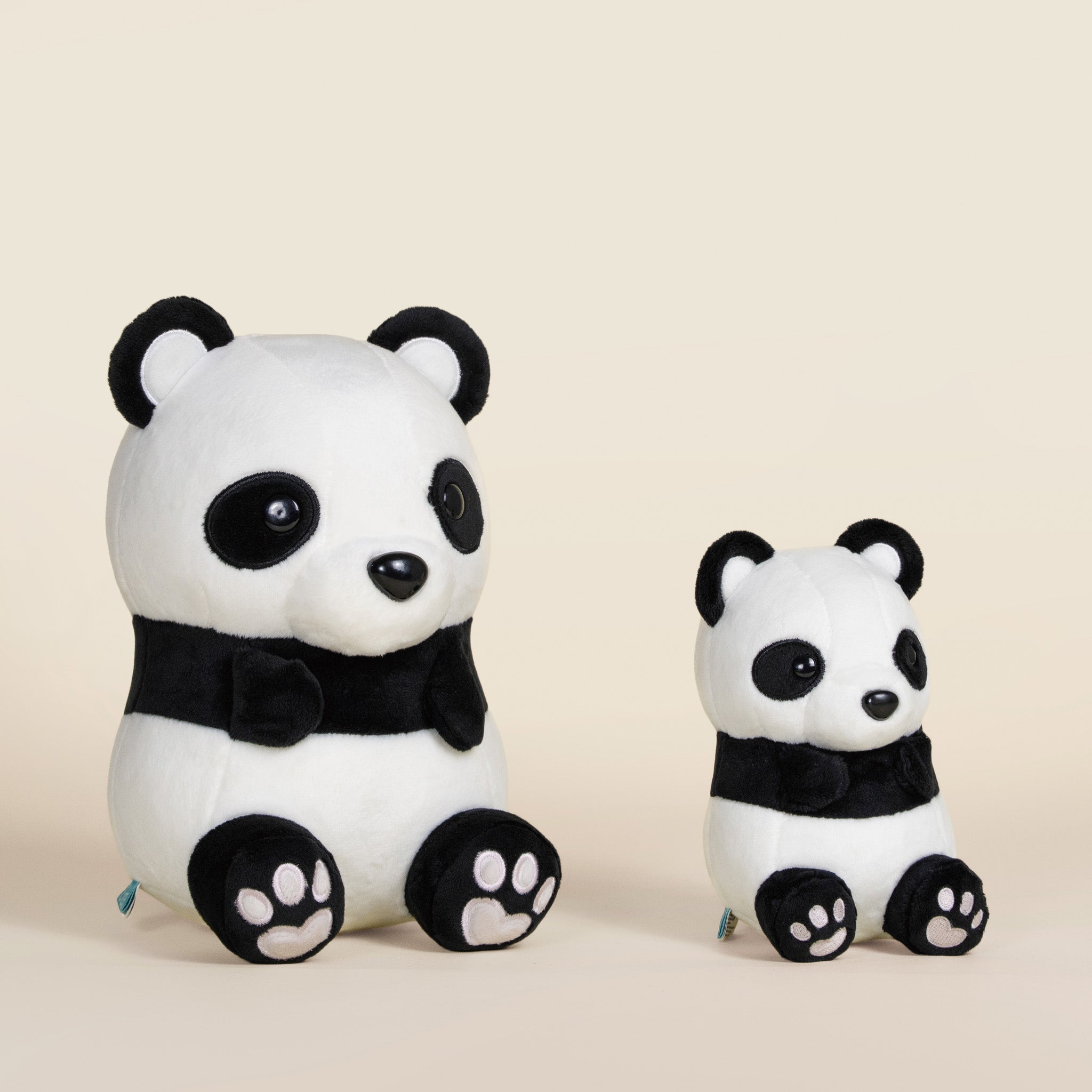 Pandi the Panda