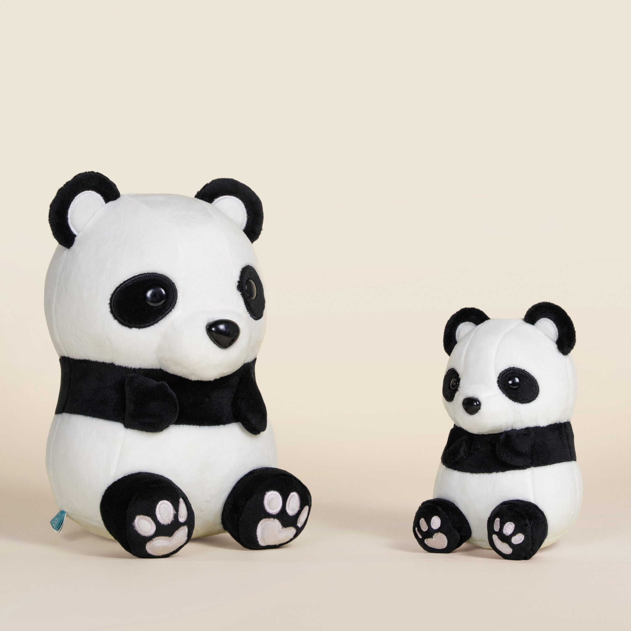 Pandi the Panda