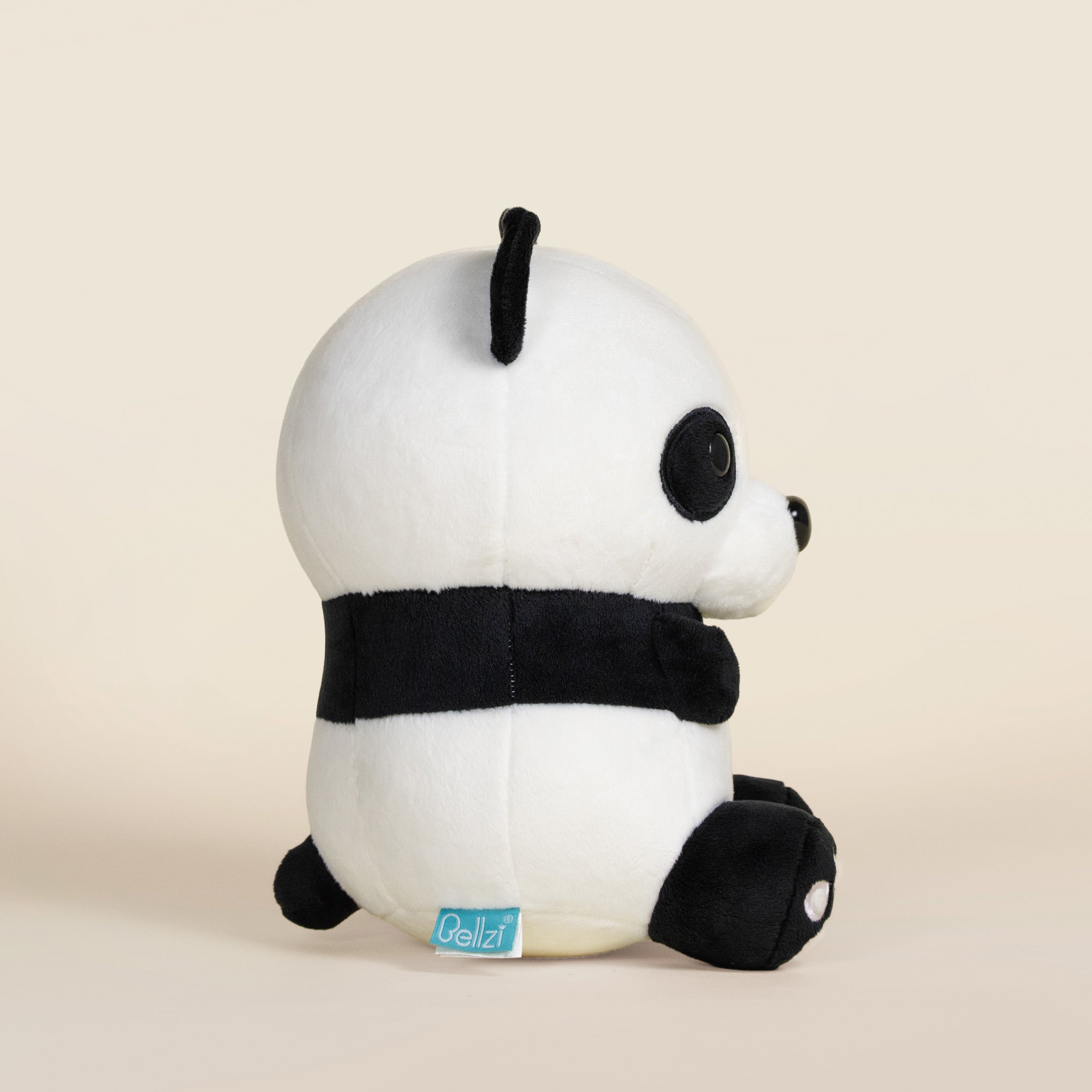 Pandi the Panda