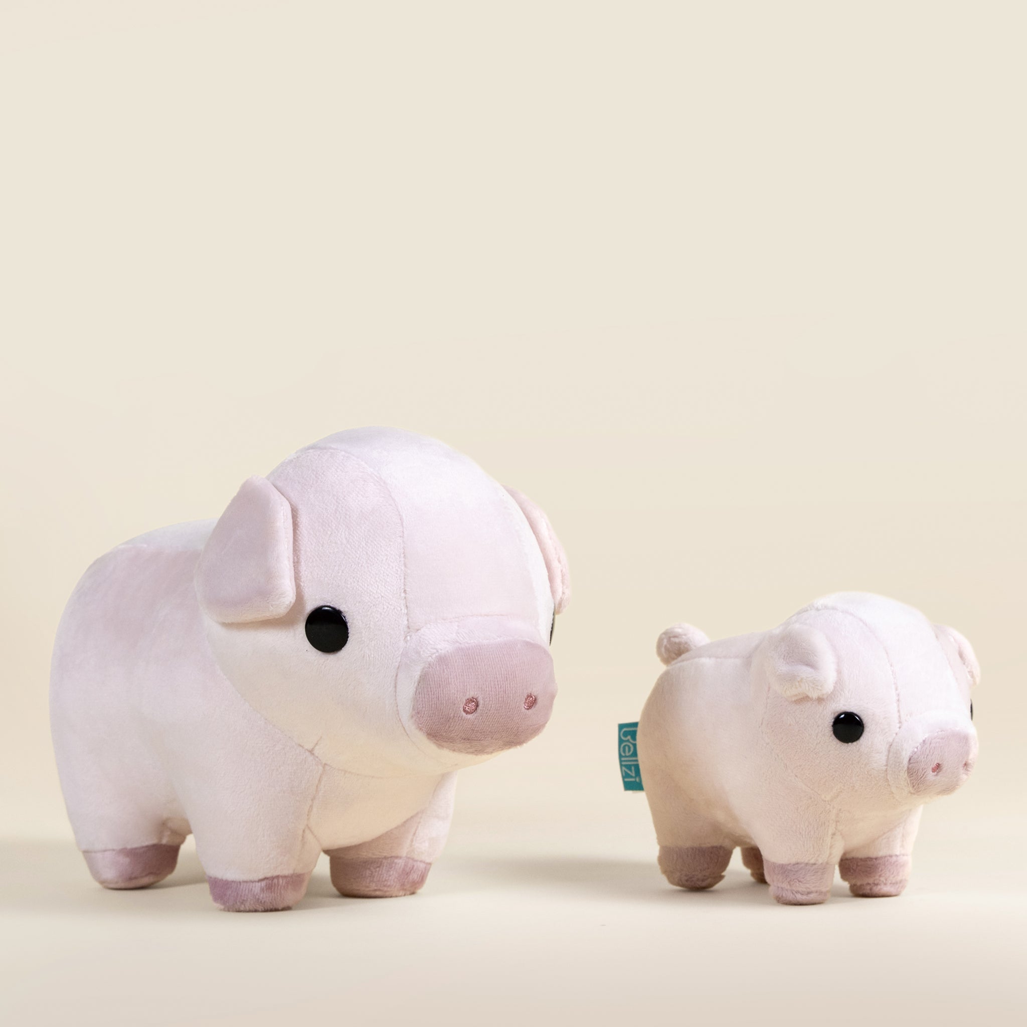 Mini Piggi the Pig
