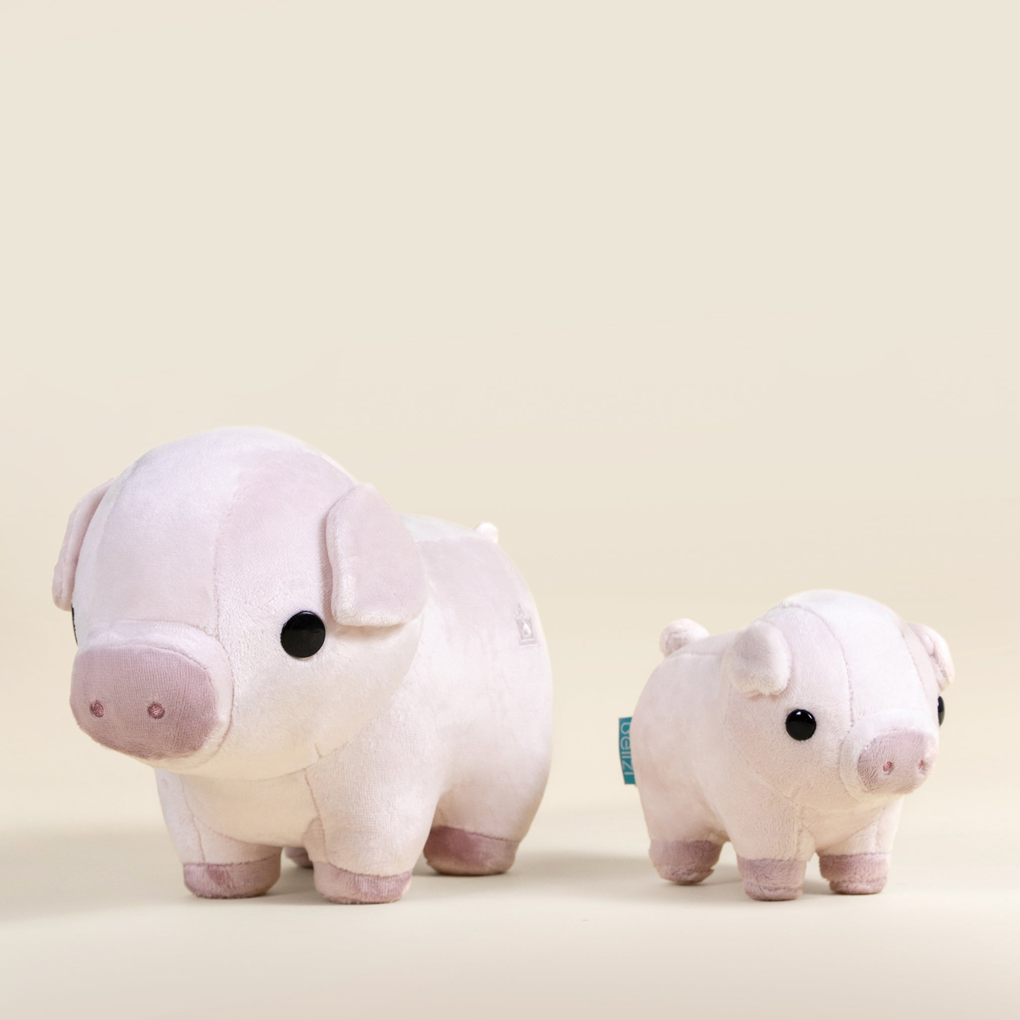 Piggi the Pig