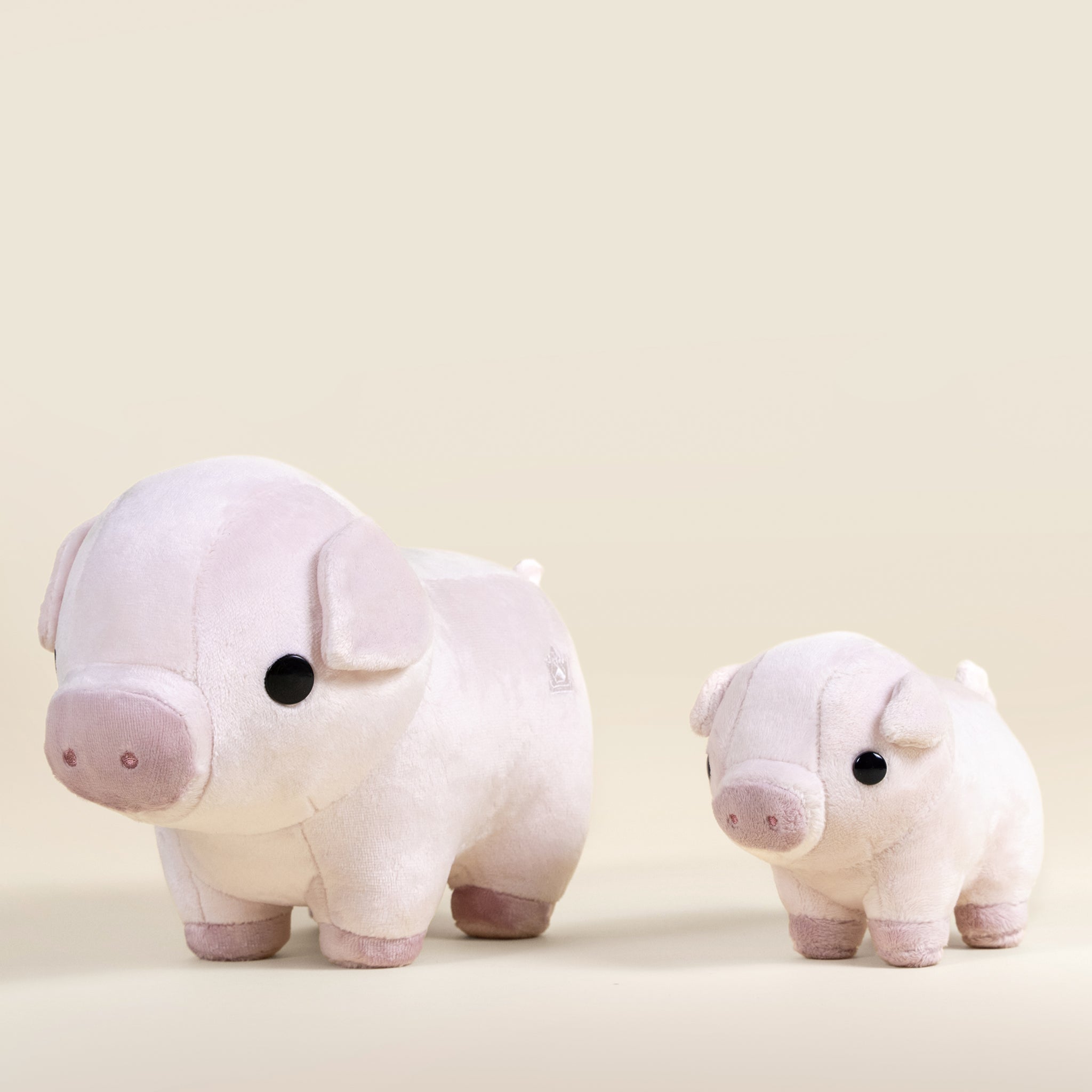 Piggi the Pig