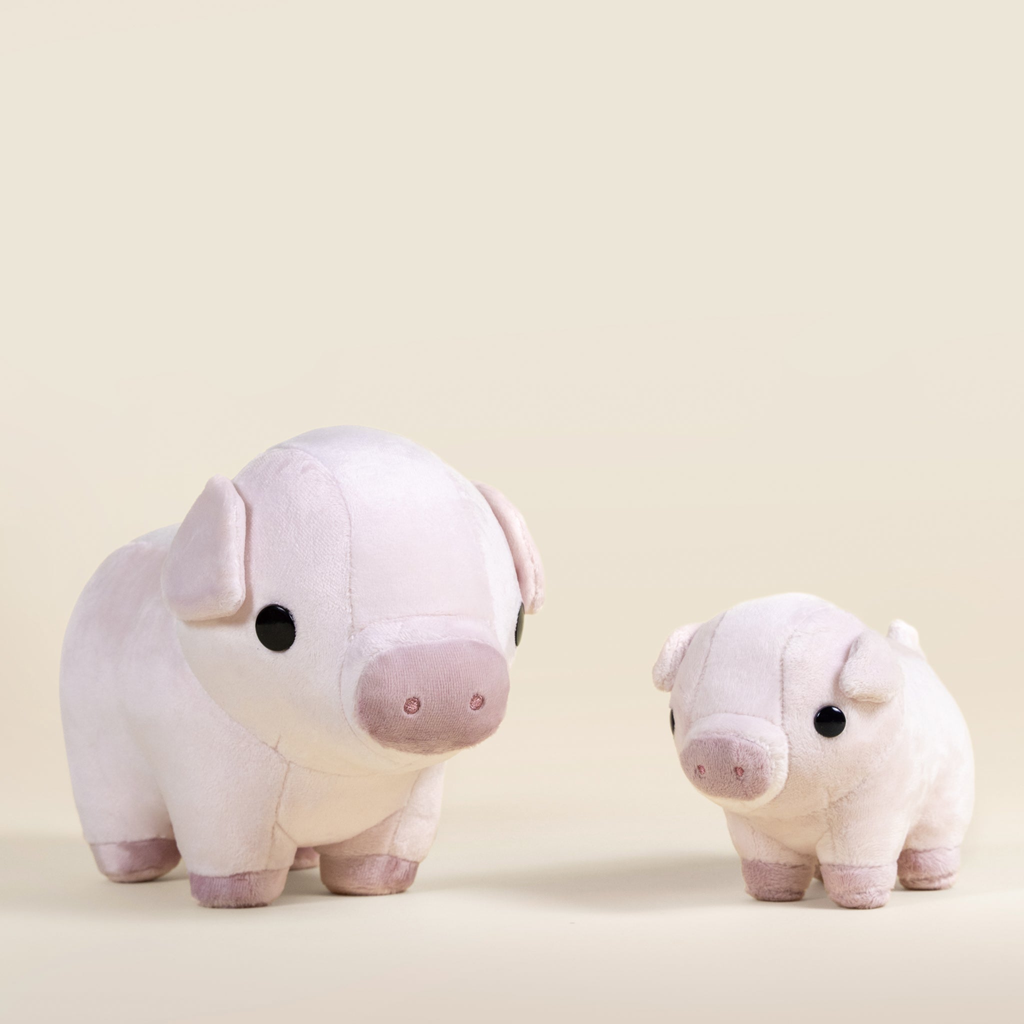 Mini Piggi the Pig