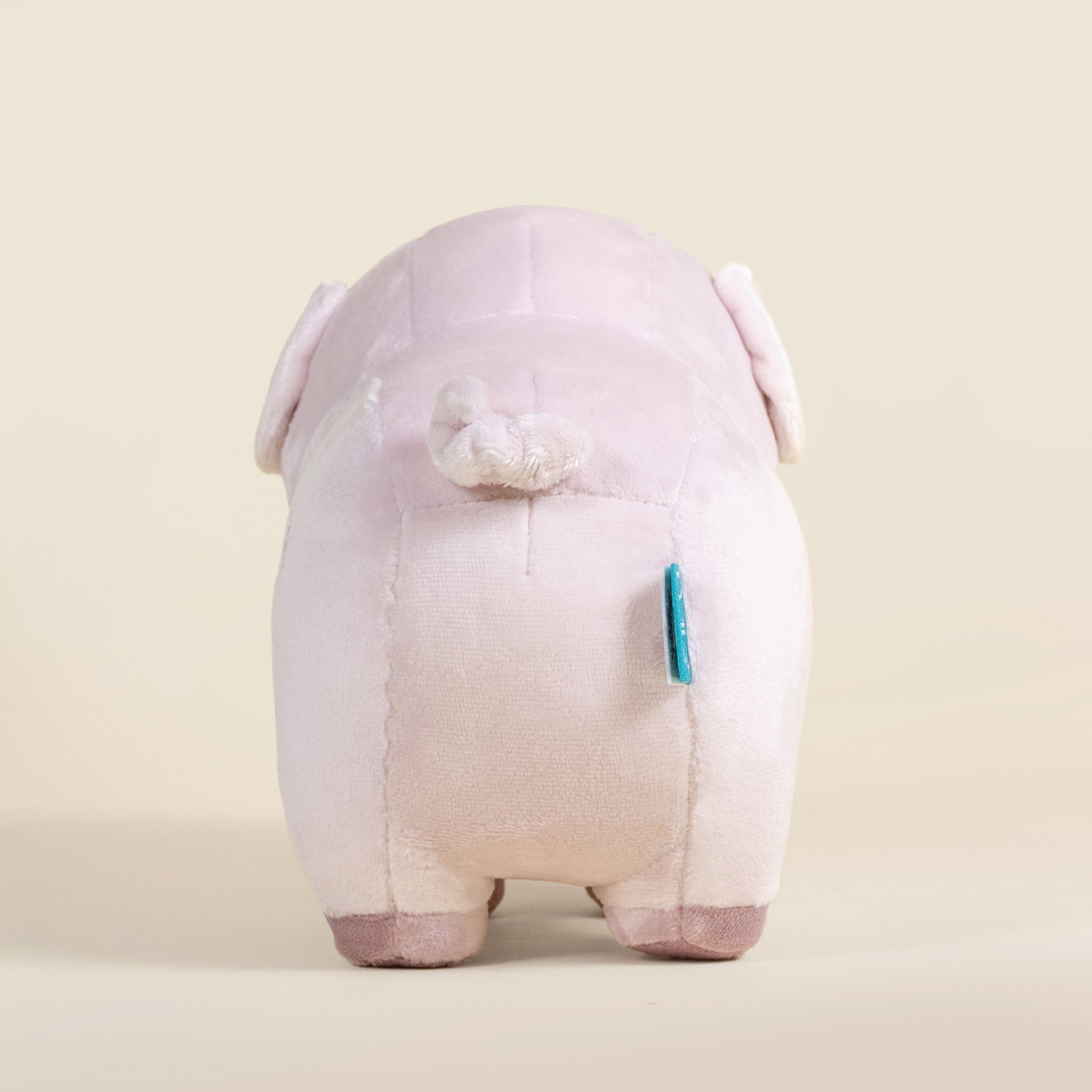 Piggi the Pig