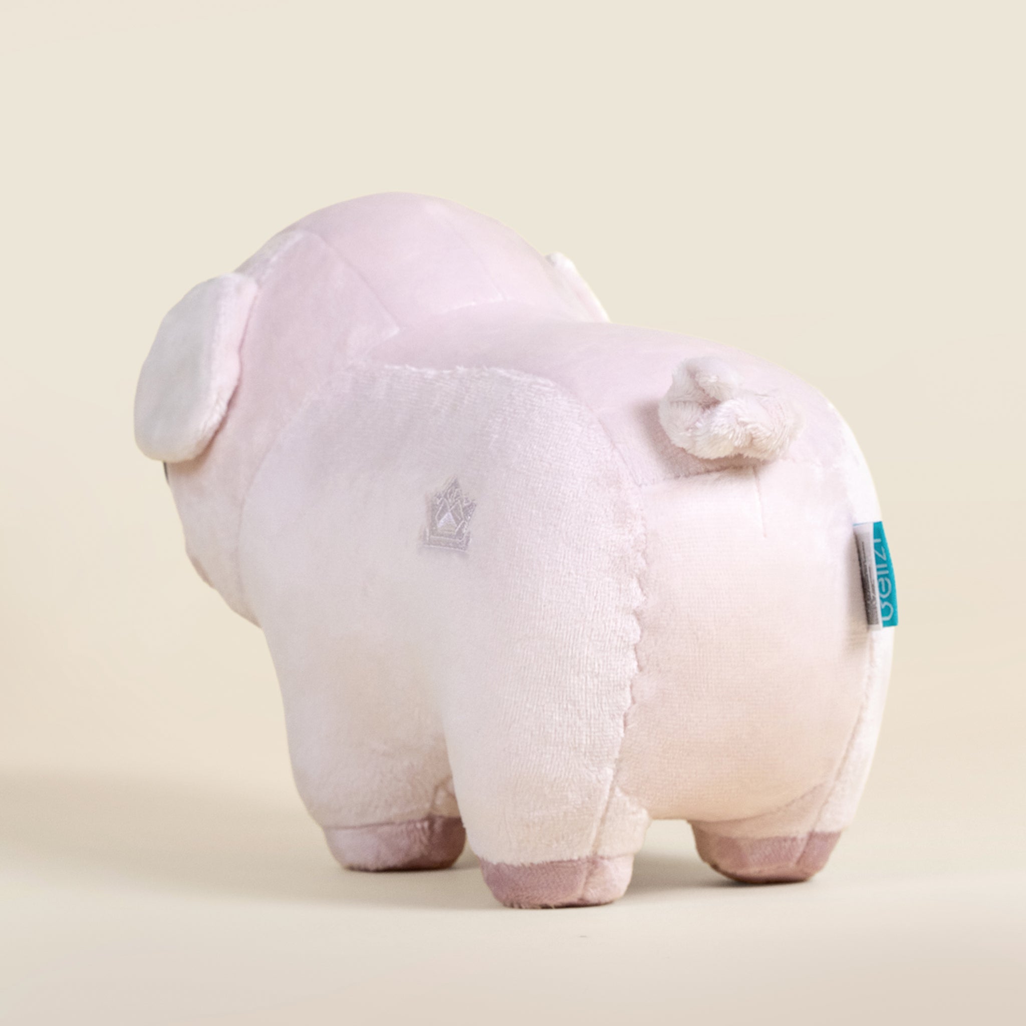 Piggi the Pig
