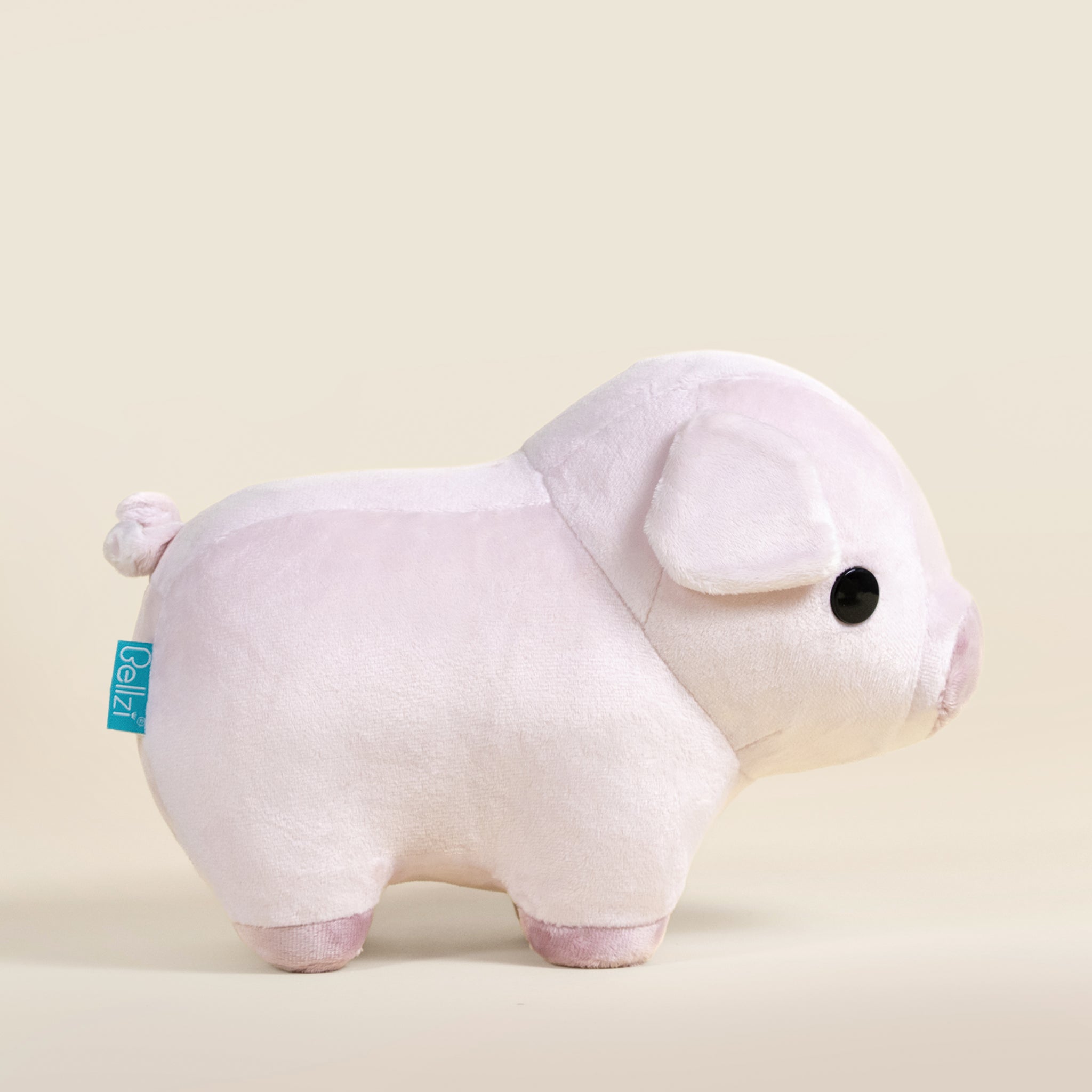 Piggi the Pig