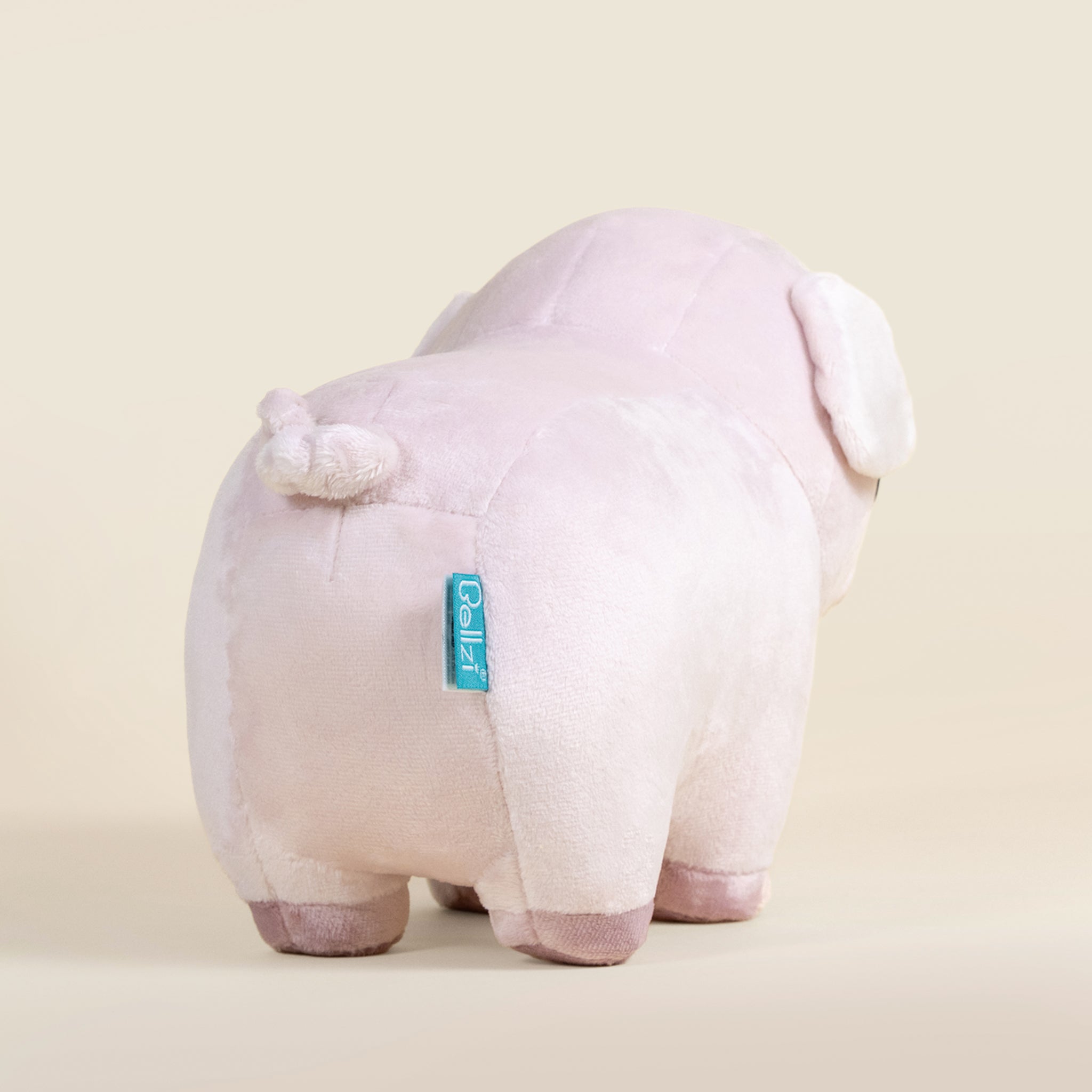 Piggi the Pig