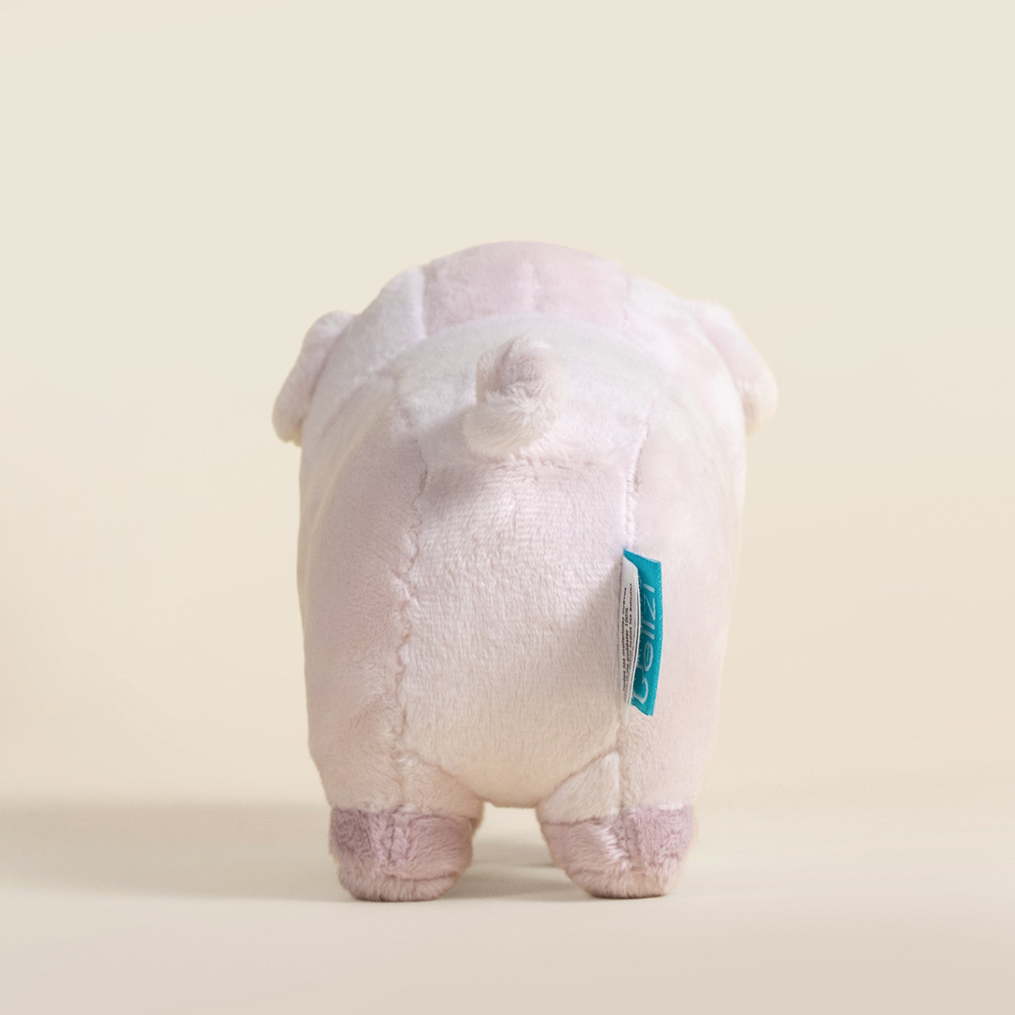 Mini Piggi the Pig
