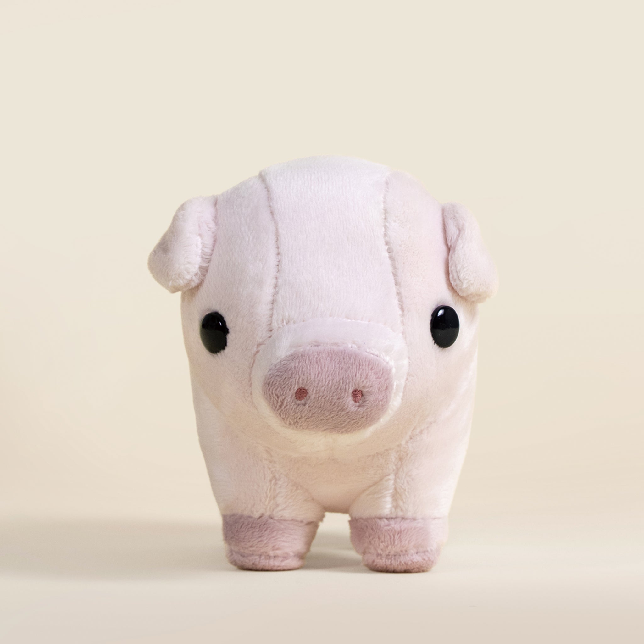 Mini Piggi the Pig