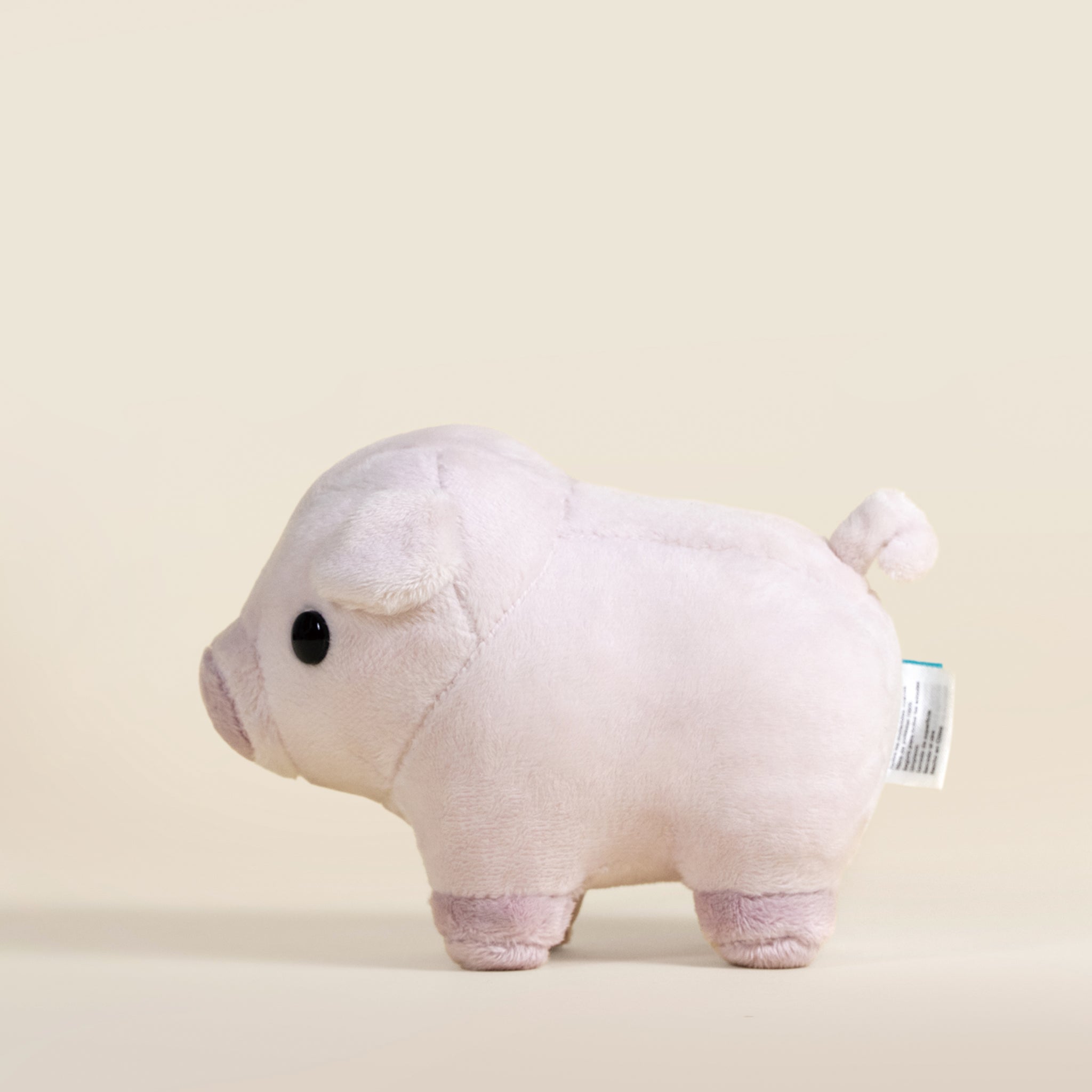 Mini Piggi the Pig