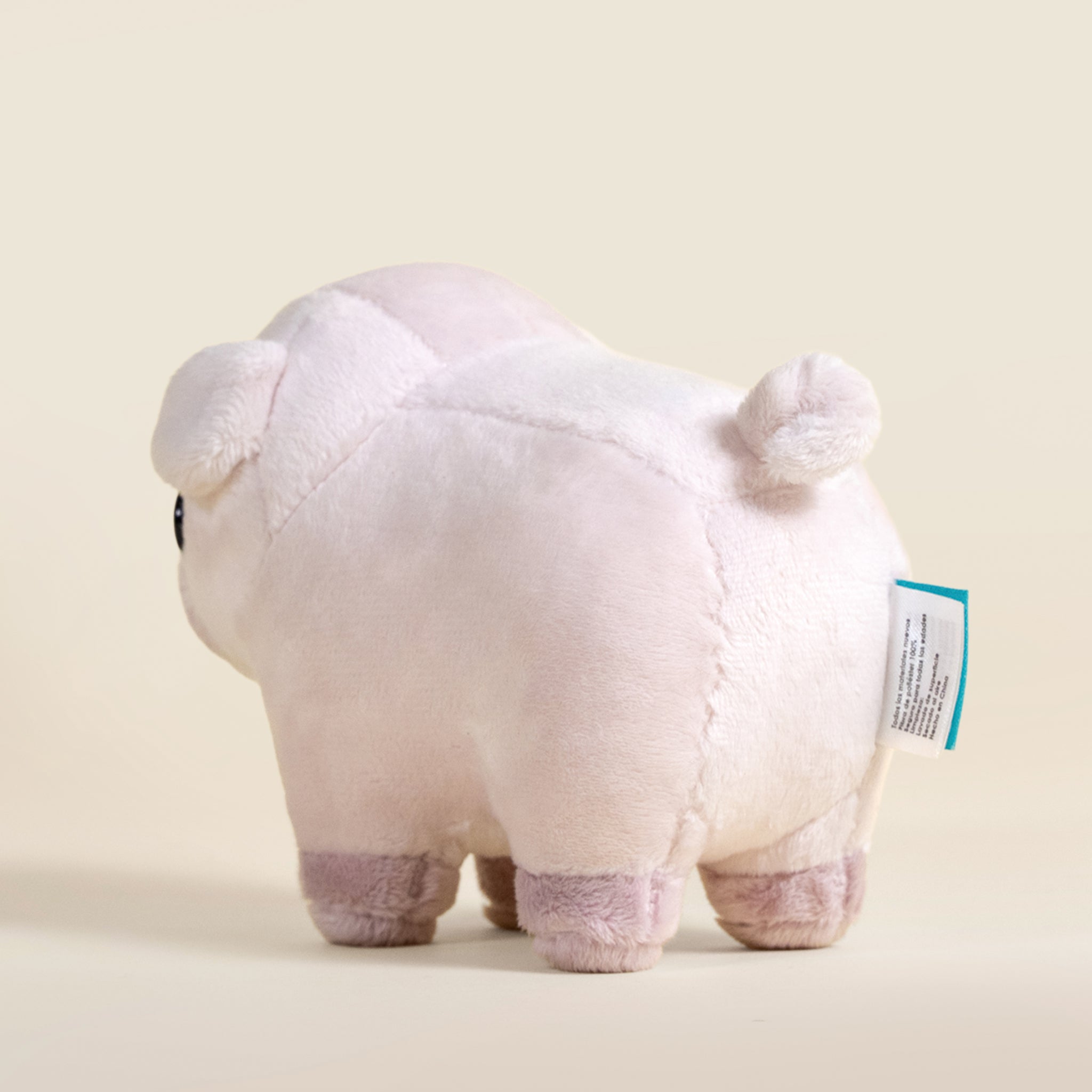 Mini Piggi the Pig