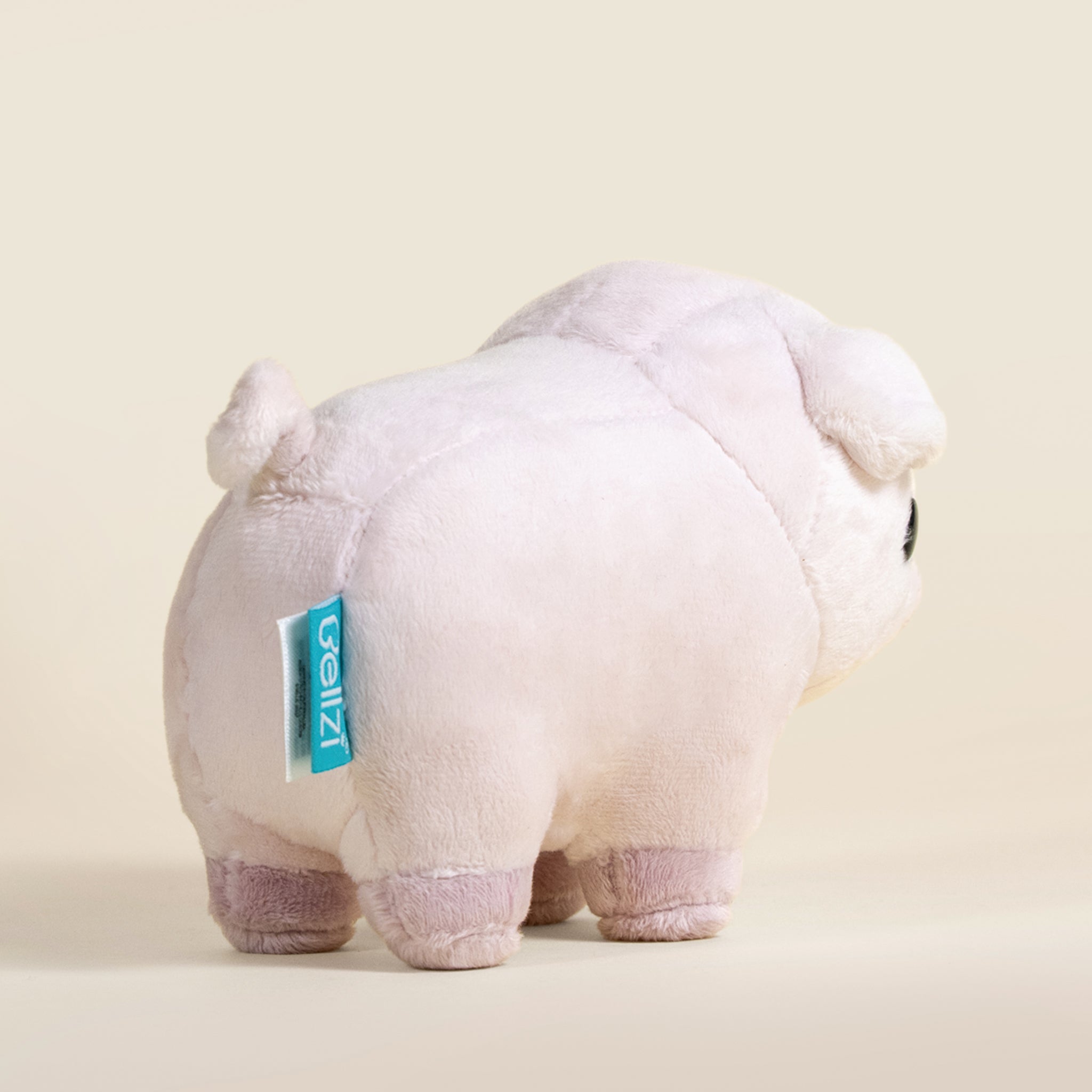 Mini Piggi the Pig
