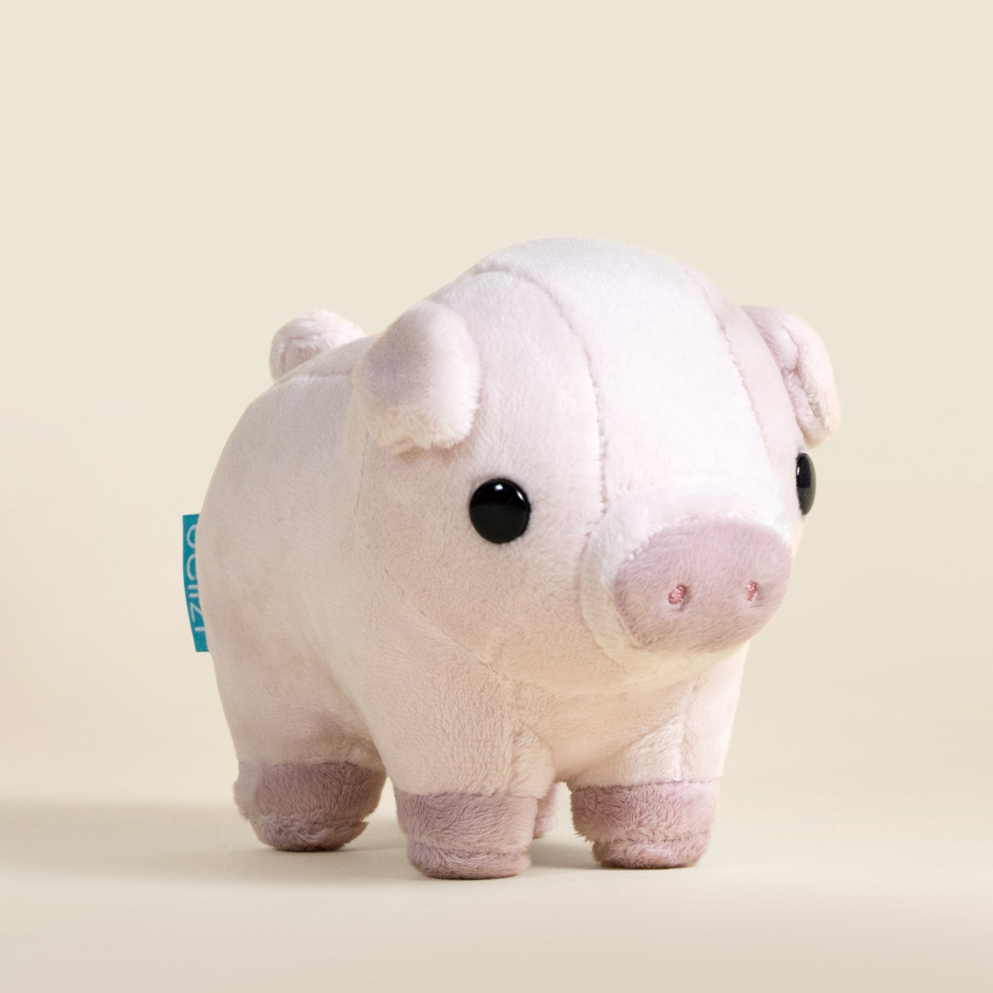 Mini Piggi the Pig