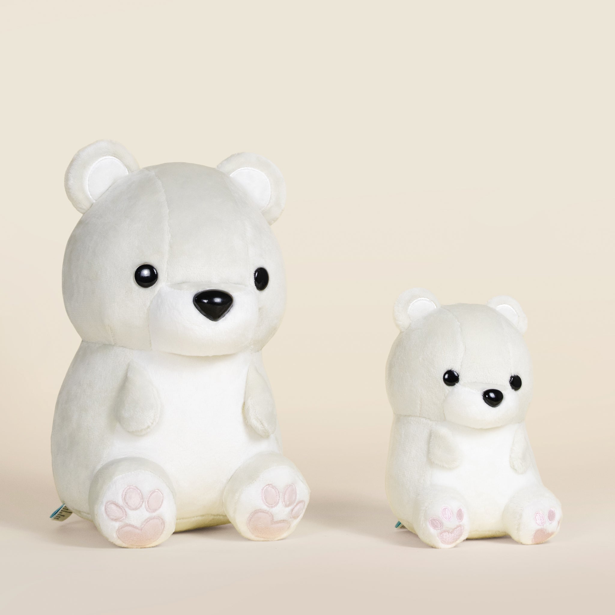 Poli the Polar Bear
