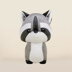 Raccooni the Raccoon
