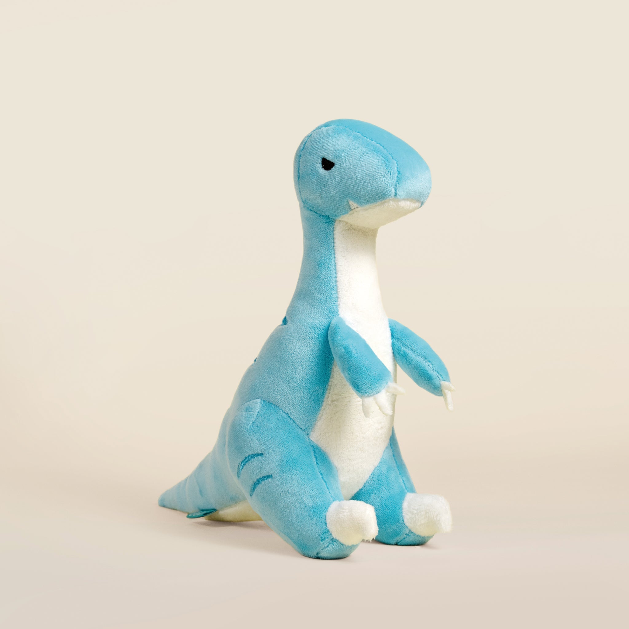 Rapti the Raptor