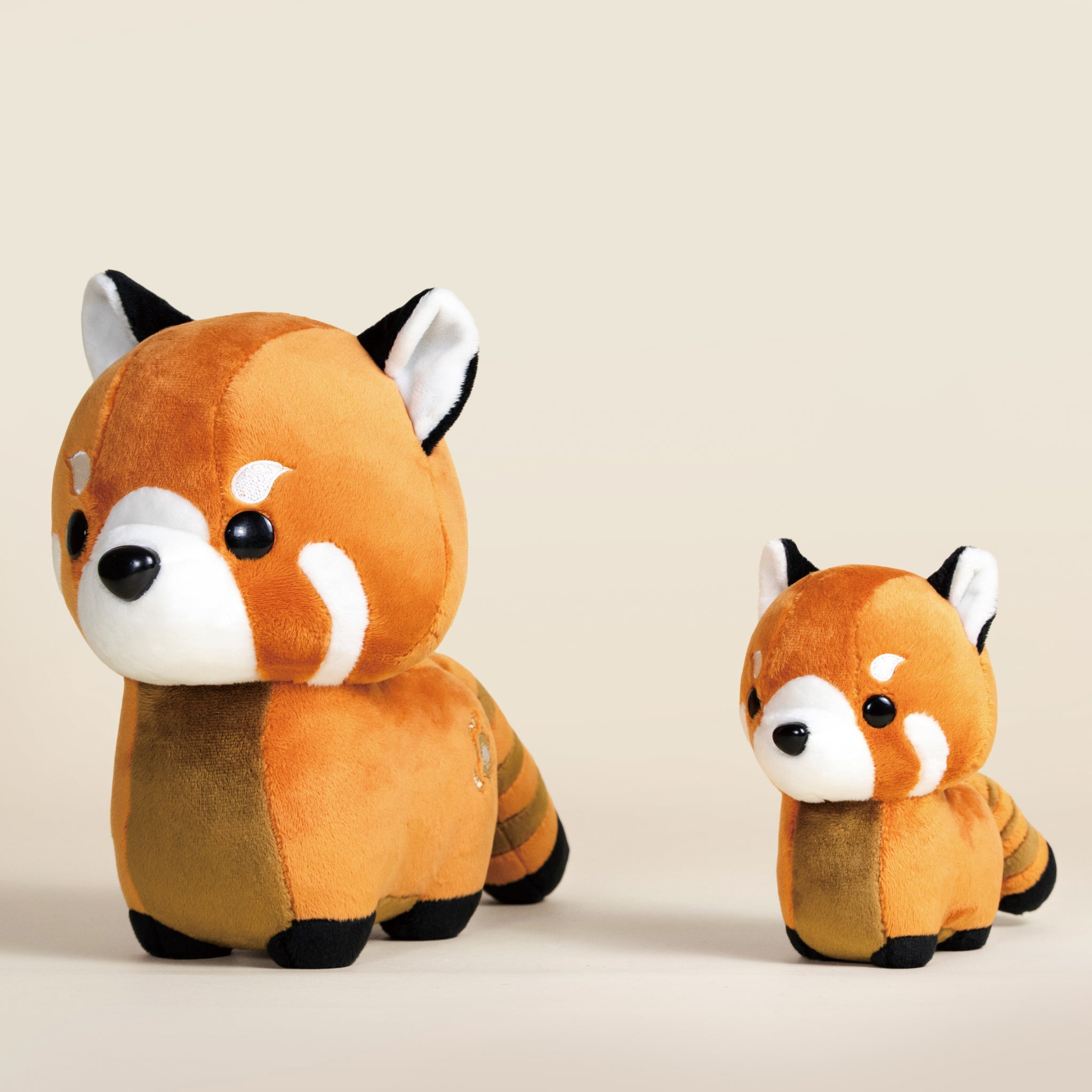Red Pandi the Red Panda