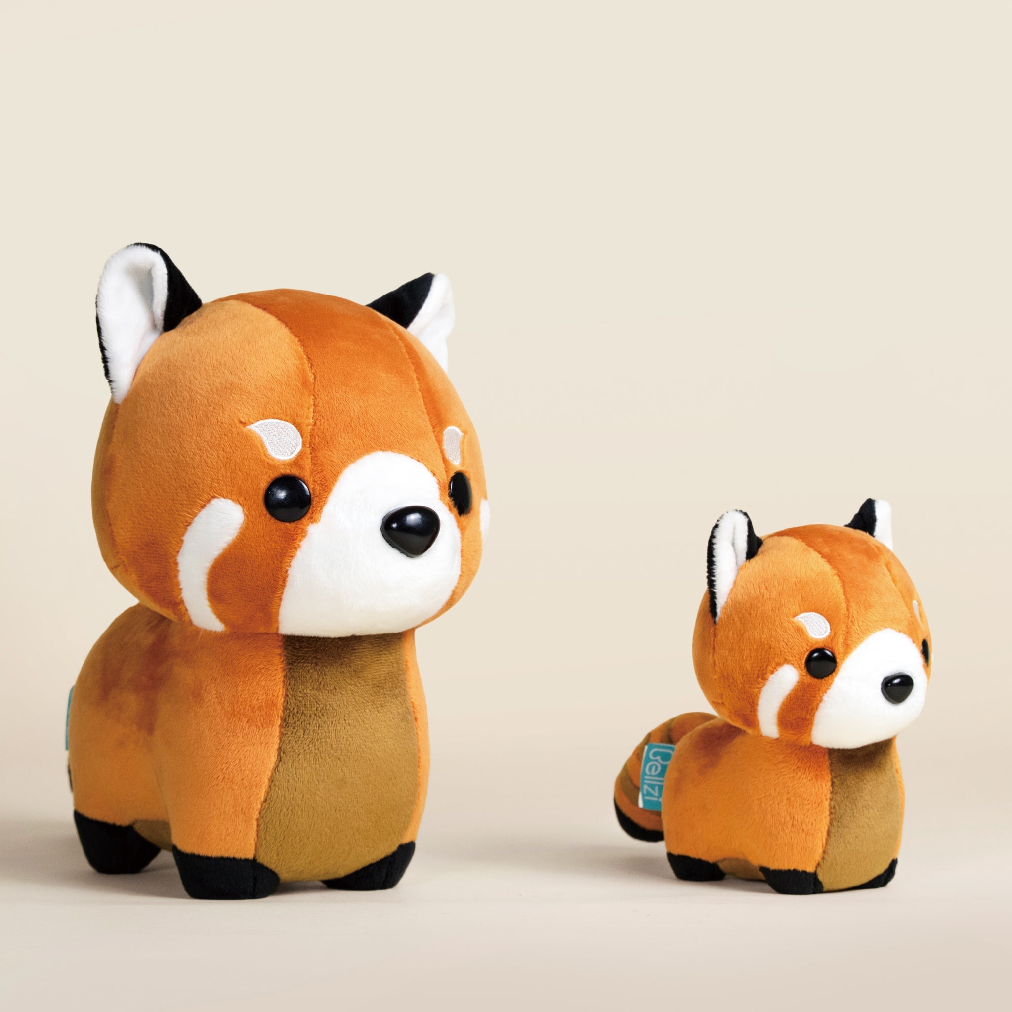 Red Pandi the Red Panda