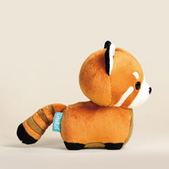 Mini Red Pandi the Red Panda