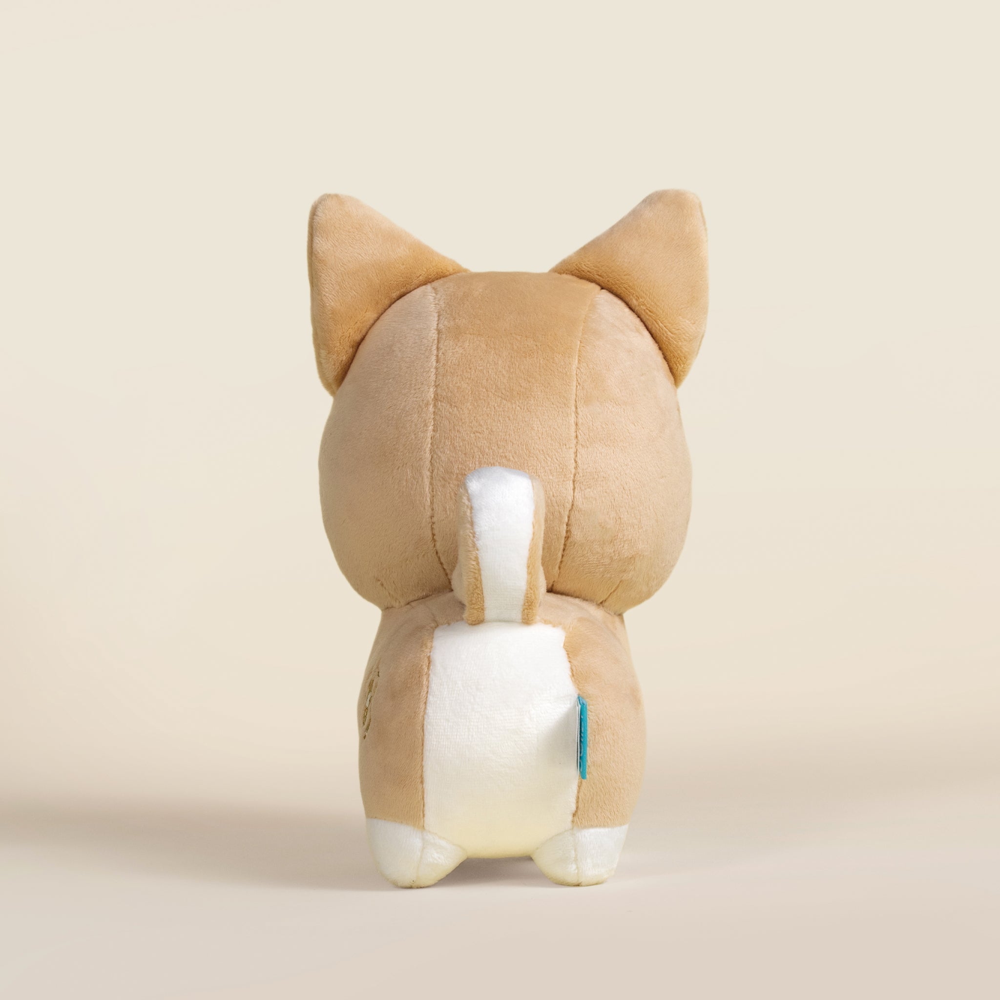Shibi the Shiba Inu
