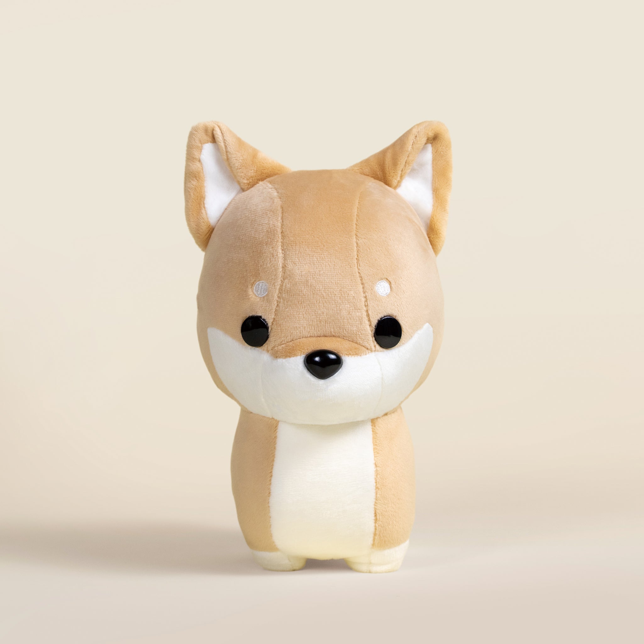 Shibi the Shiba Inu