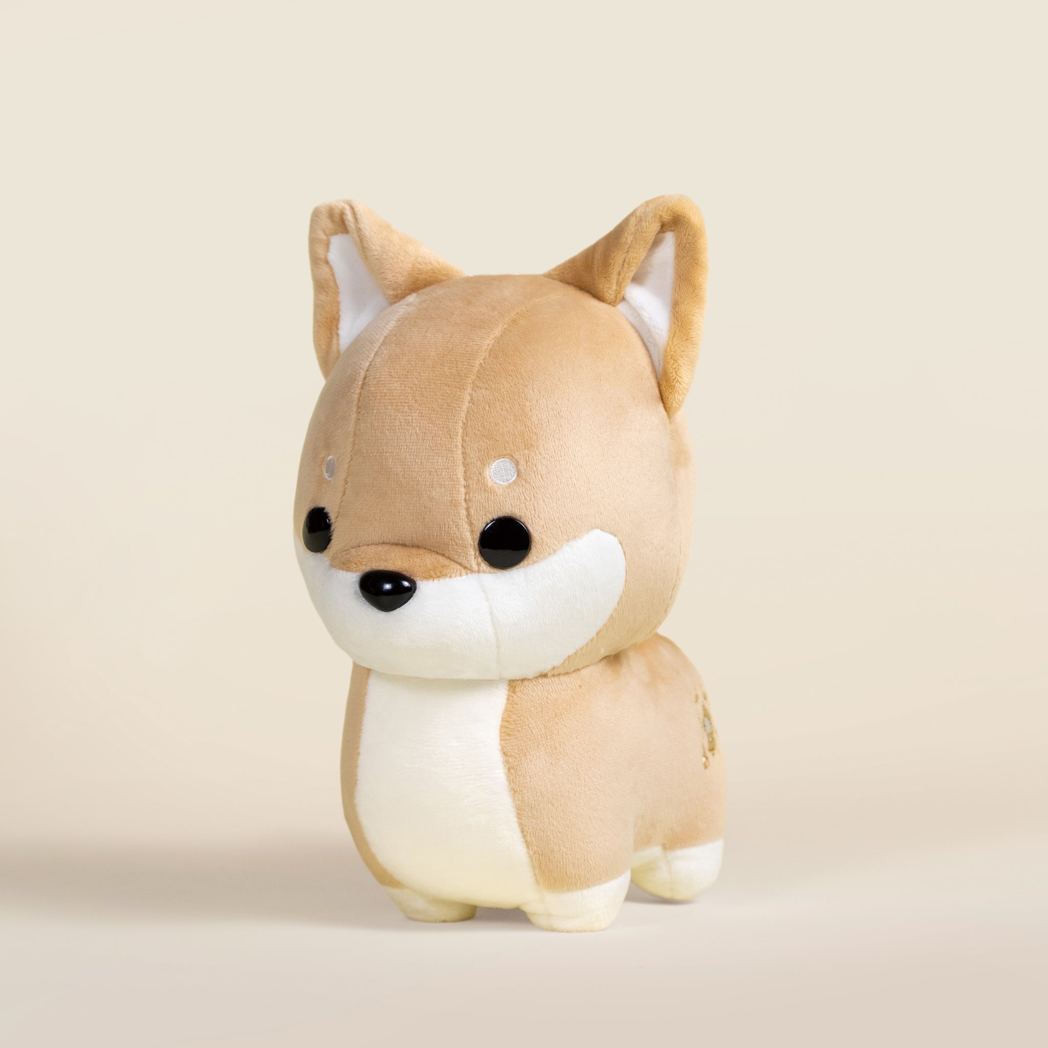 Shibi the Shiba Inu