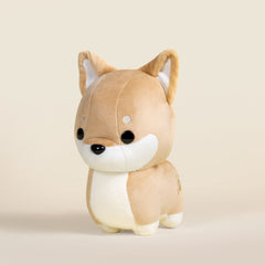 Shibi the Shiba Inu