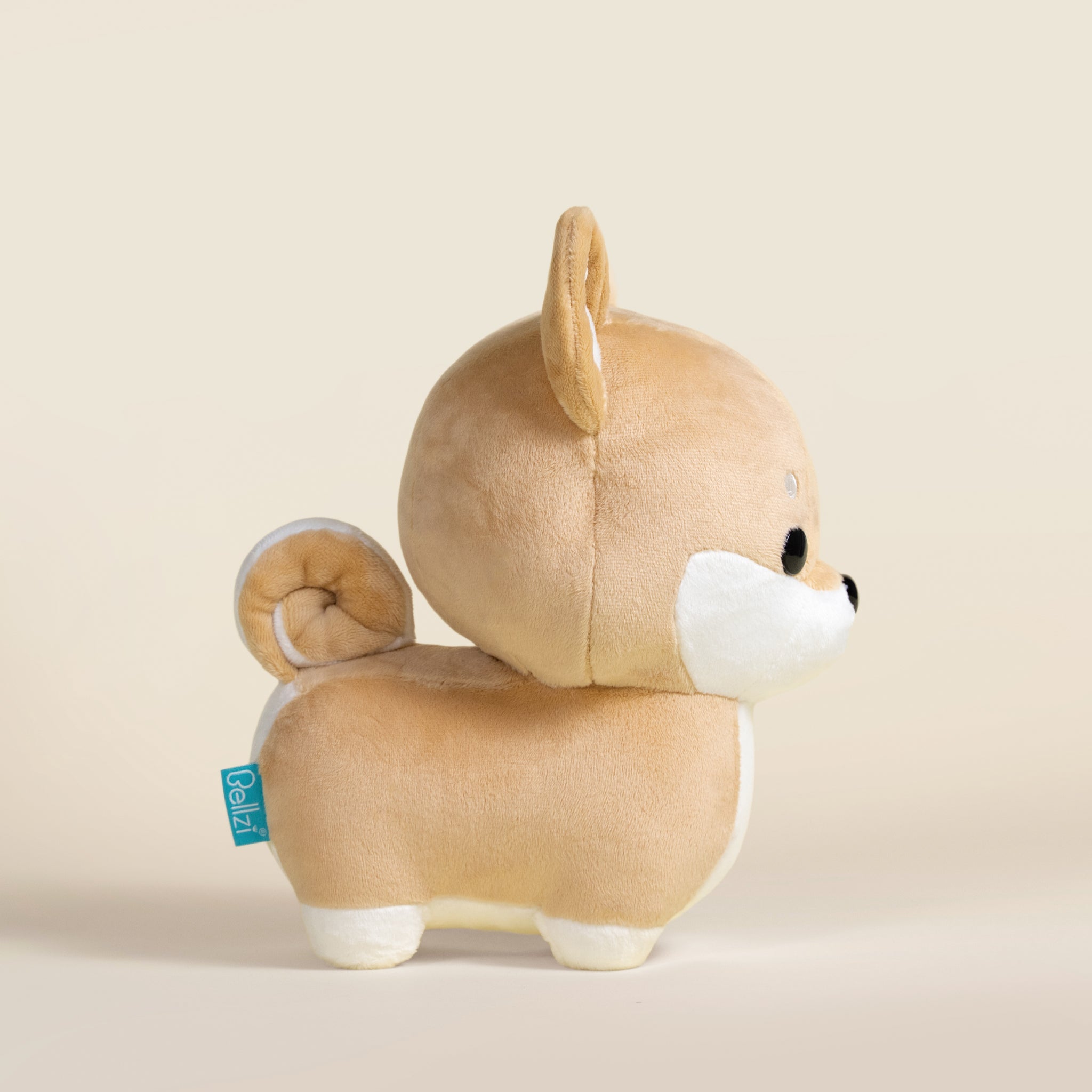 Shibi the Shiba Inu
