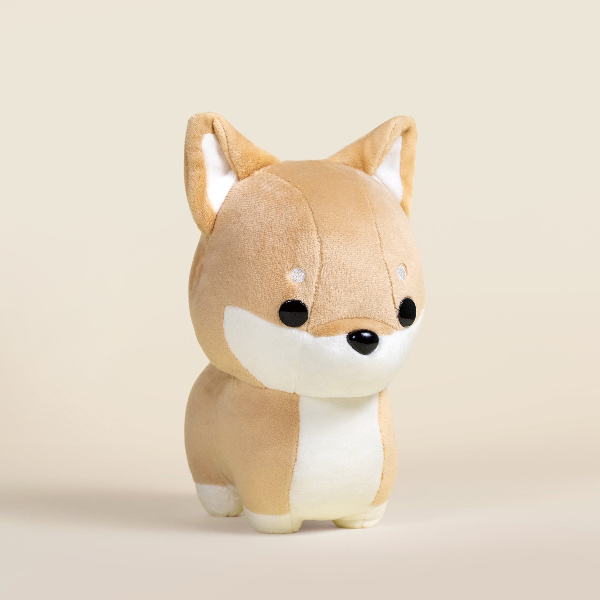 Shibi the Shiba Inu