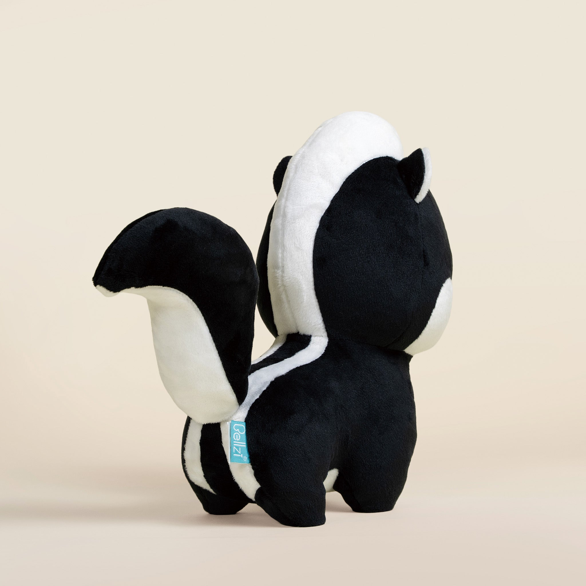Skunki the Skunk