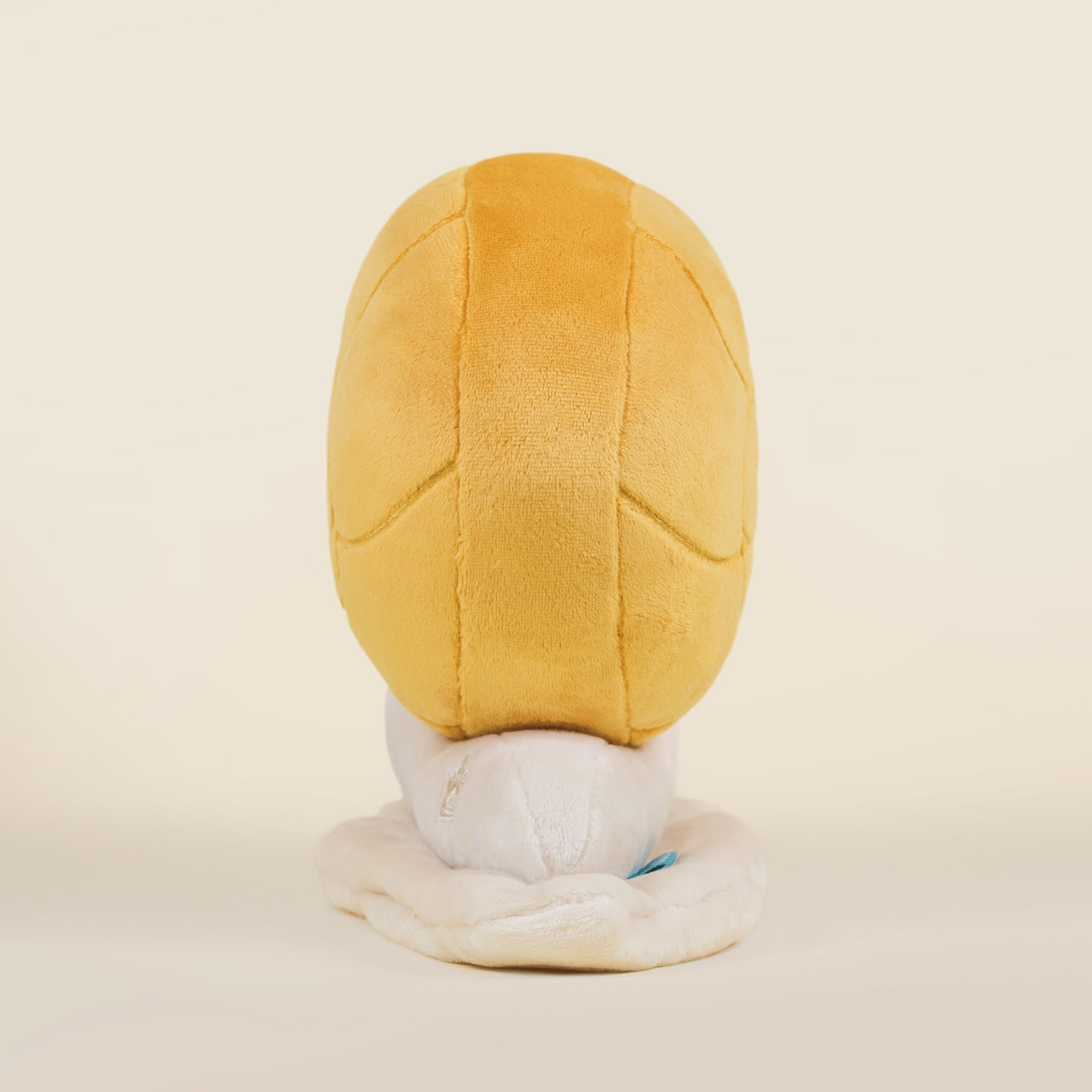 Snaili the Snail