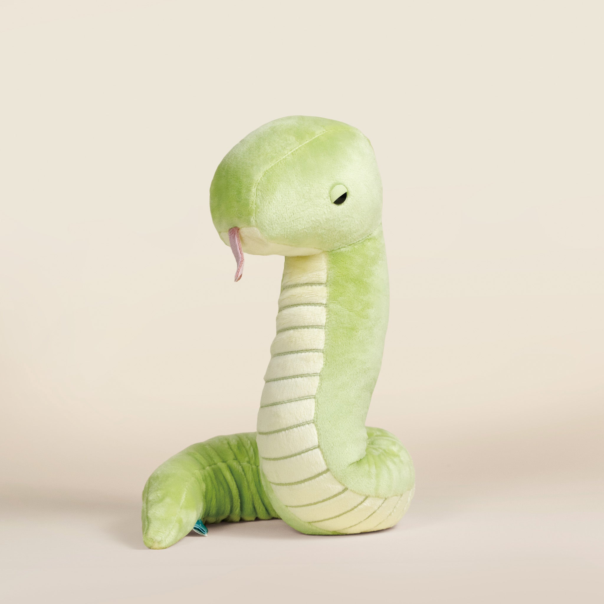 Snaki the Grass Snake