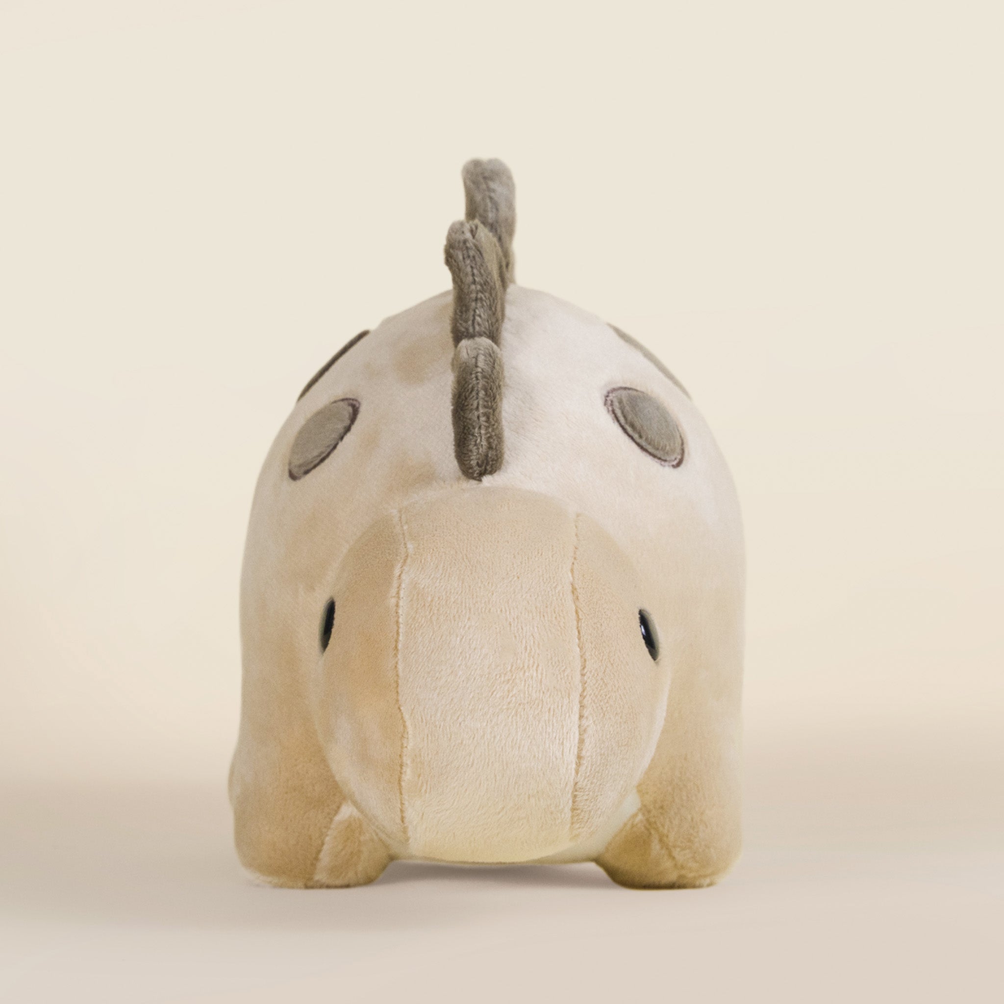 Steggi the Stegosaurus