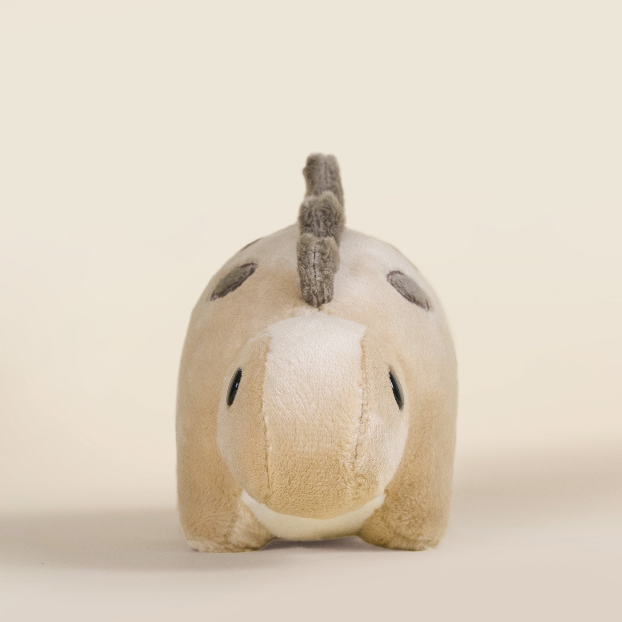 Mini Steggi the Stegosaurus