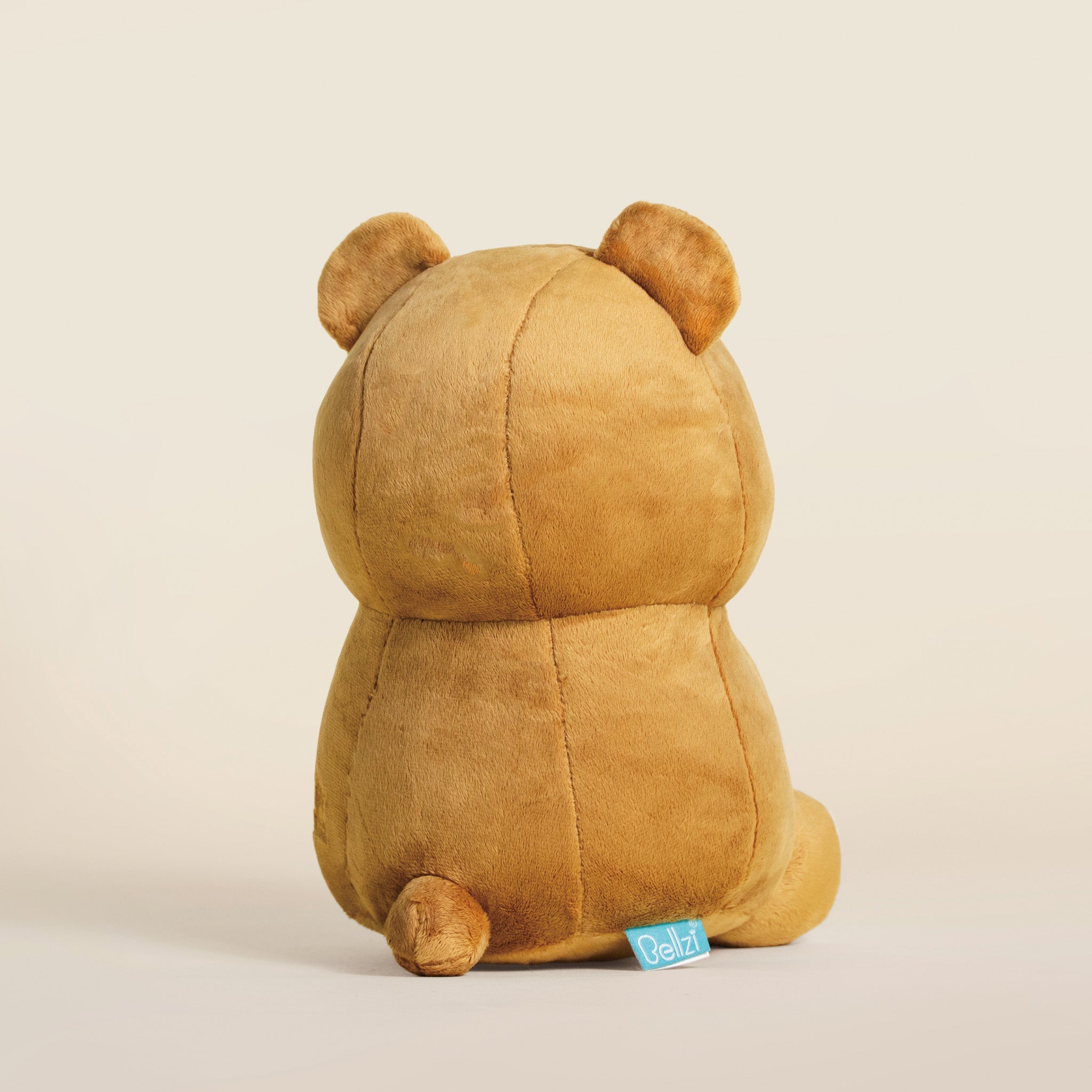 Teddi the Grizzly Bear