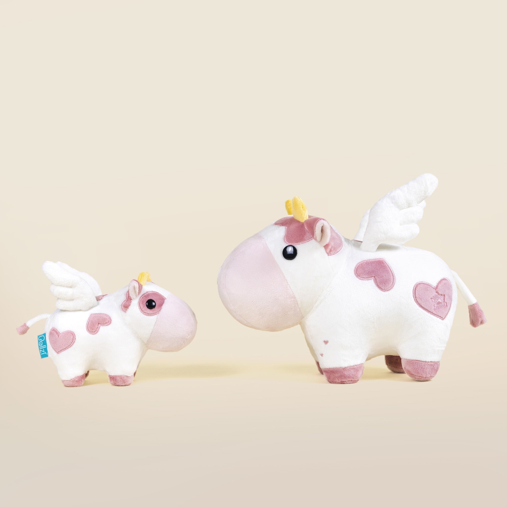 Mini Valentine Mooi