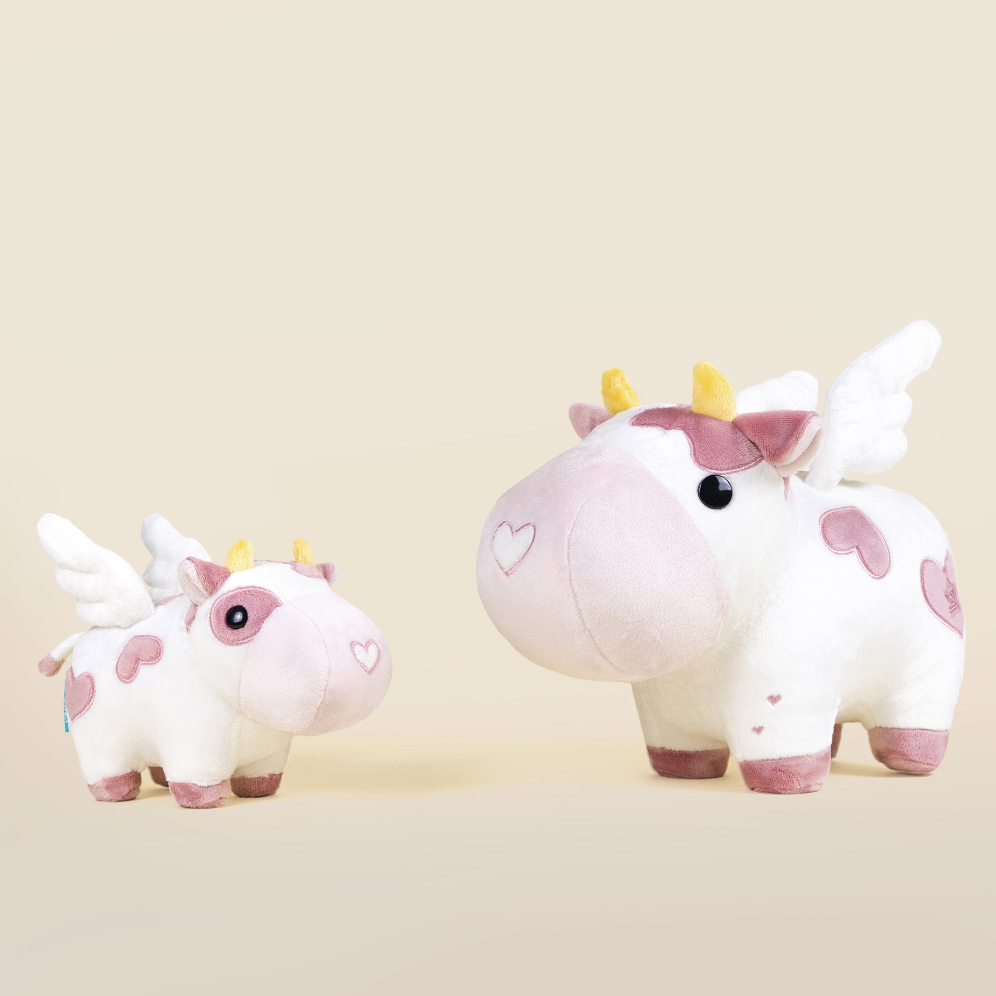 Mini Valentine Mooi