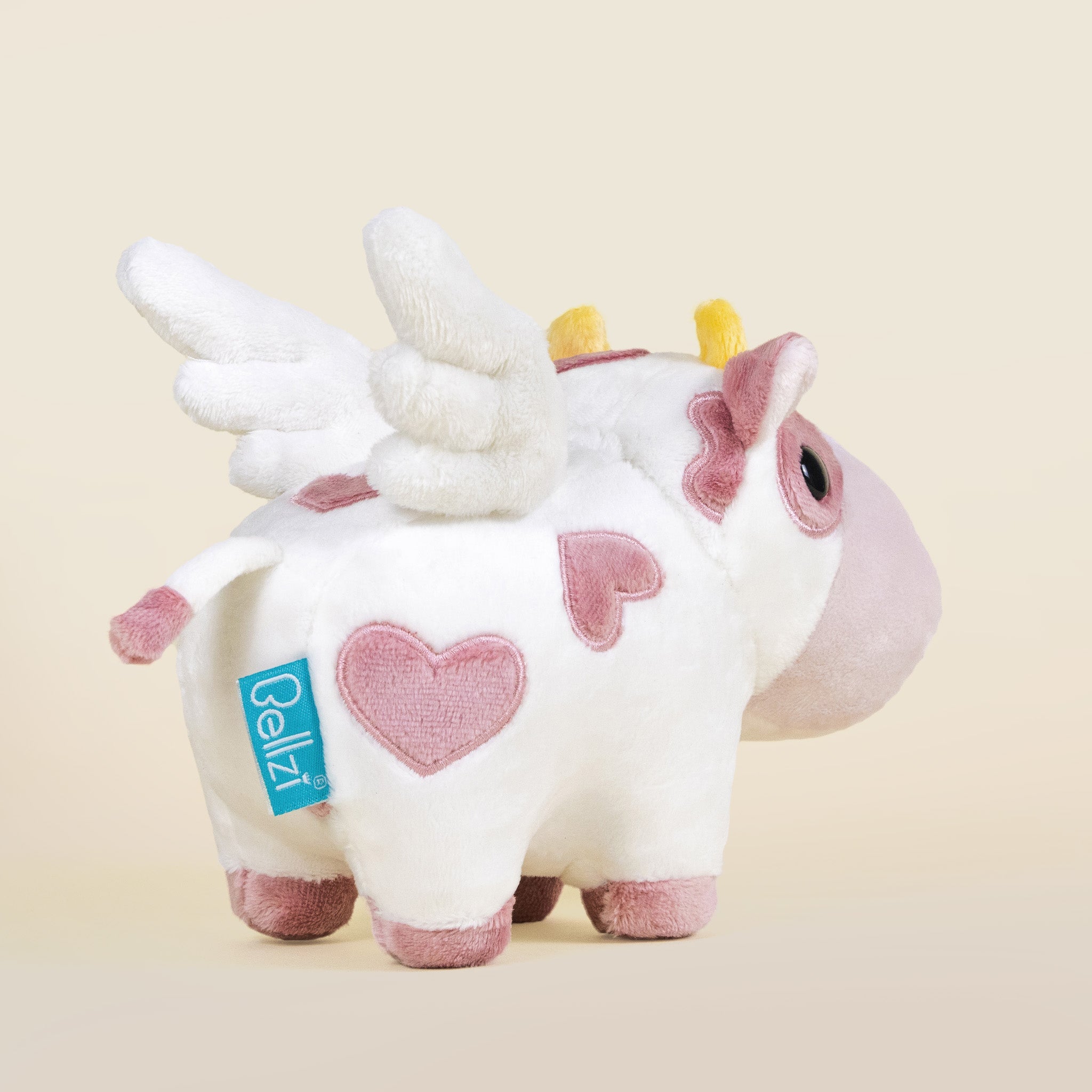 Mini Valentine Mooi