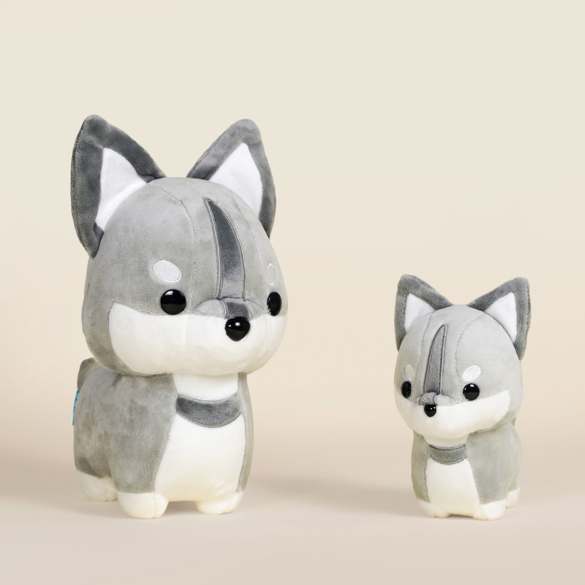 Wolfi the Wolf