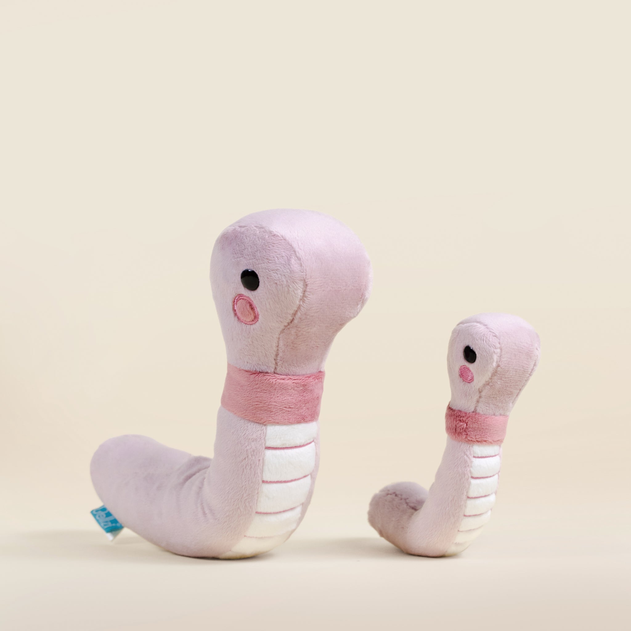 Mini Wormi the Worm