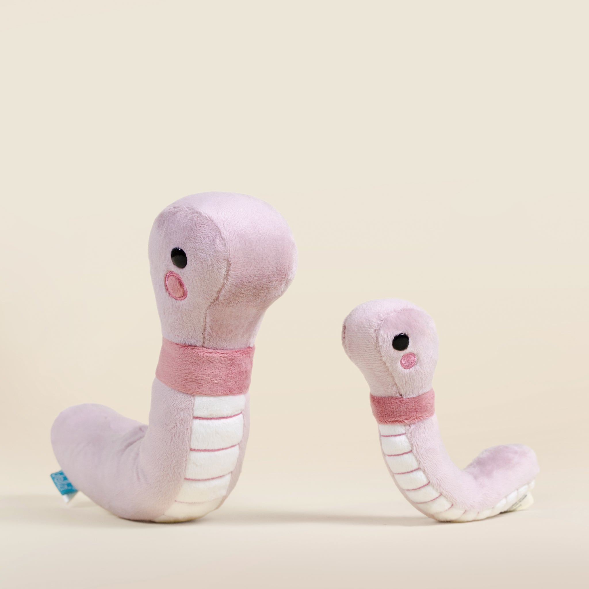 Wormi the Worm