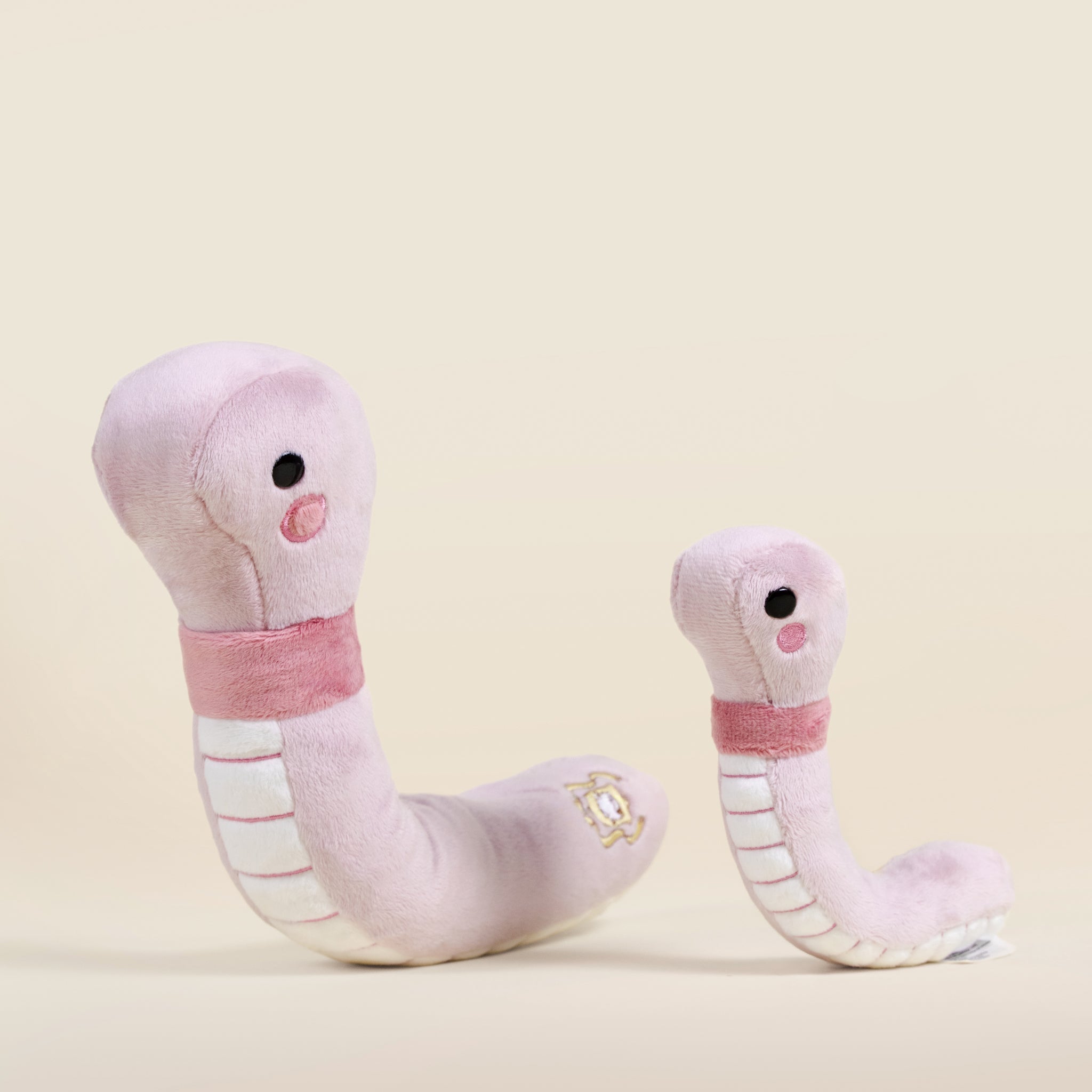 Mini Wormi the Worm