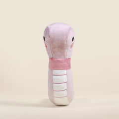 Wormi the Worm