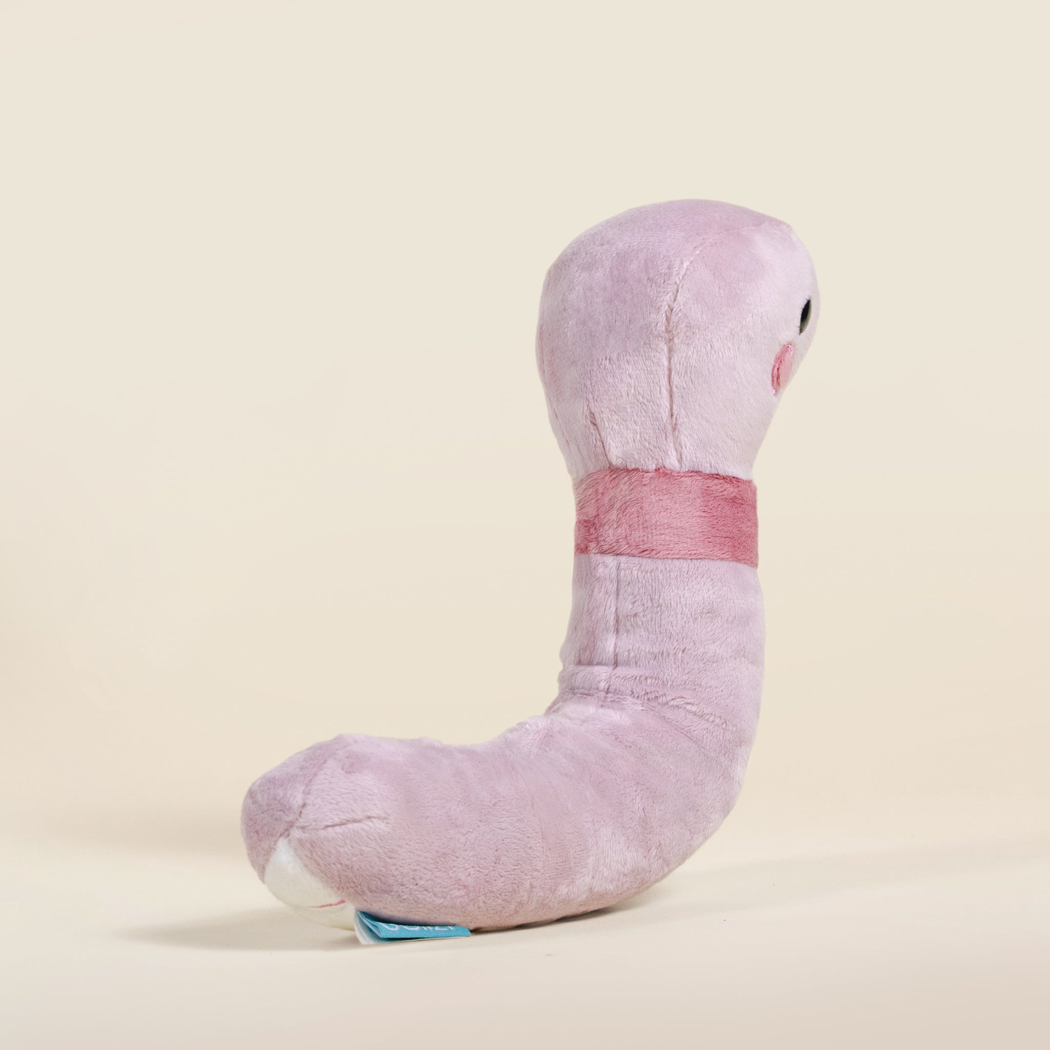 Wormi the Worm