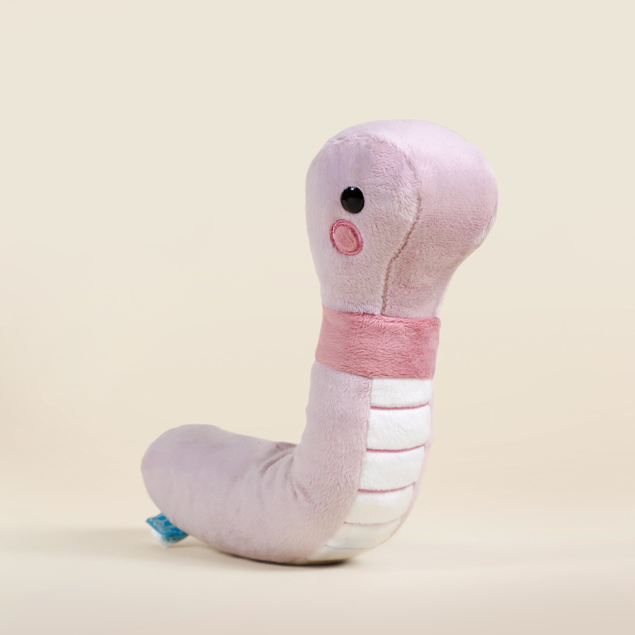 Wormi the Worm