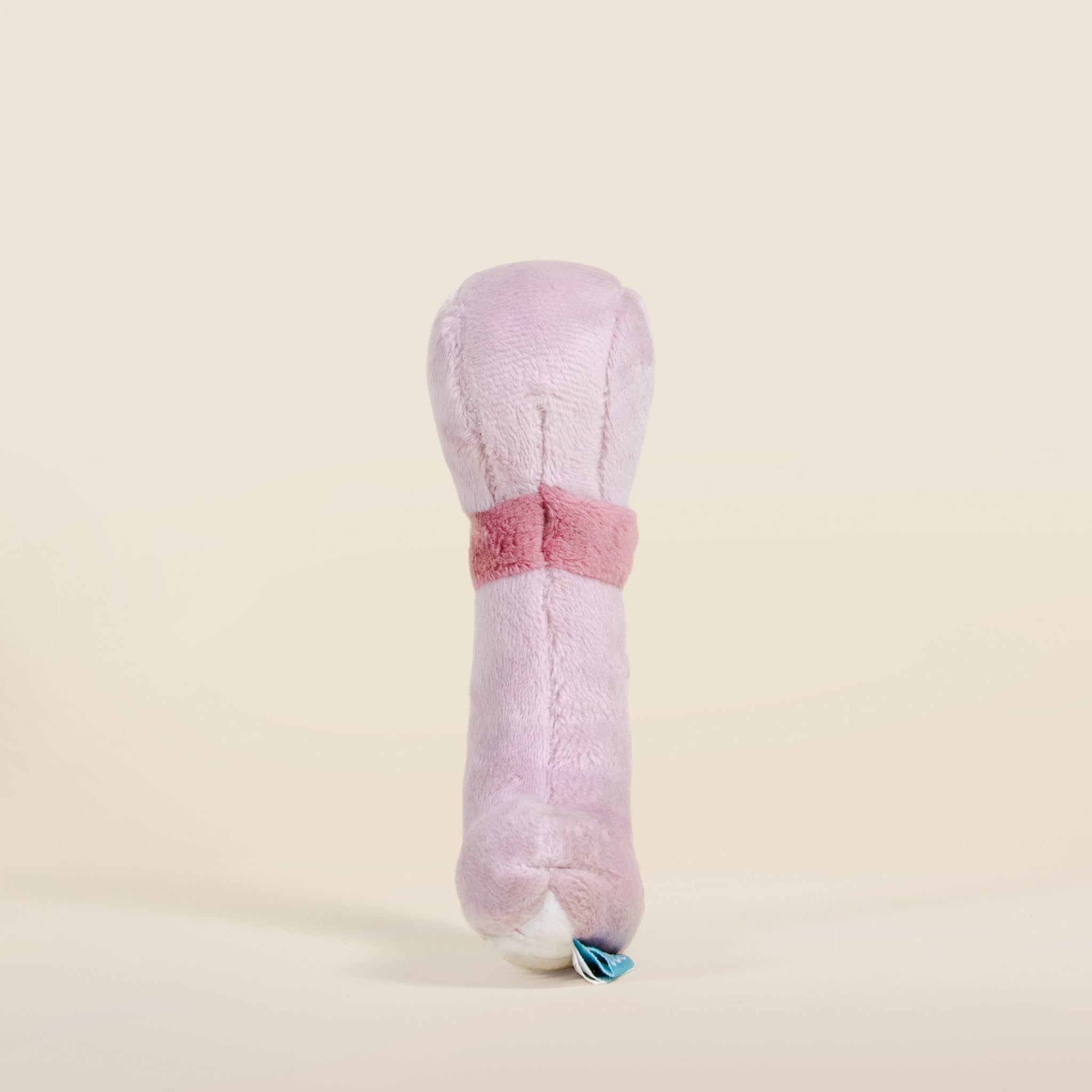 Mini Wormi the Worm