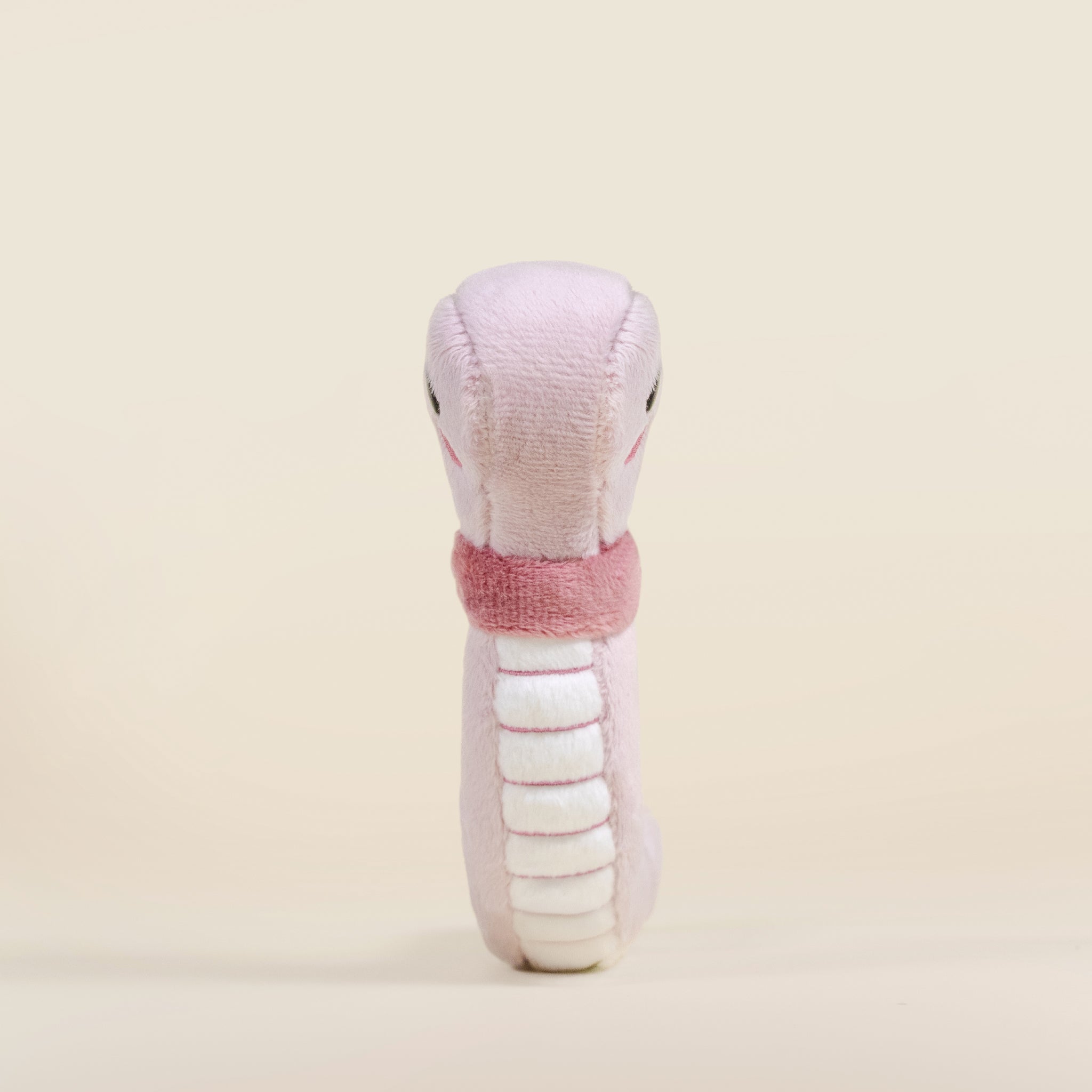 Mini Wormi the Worm
