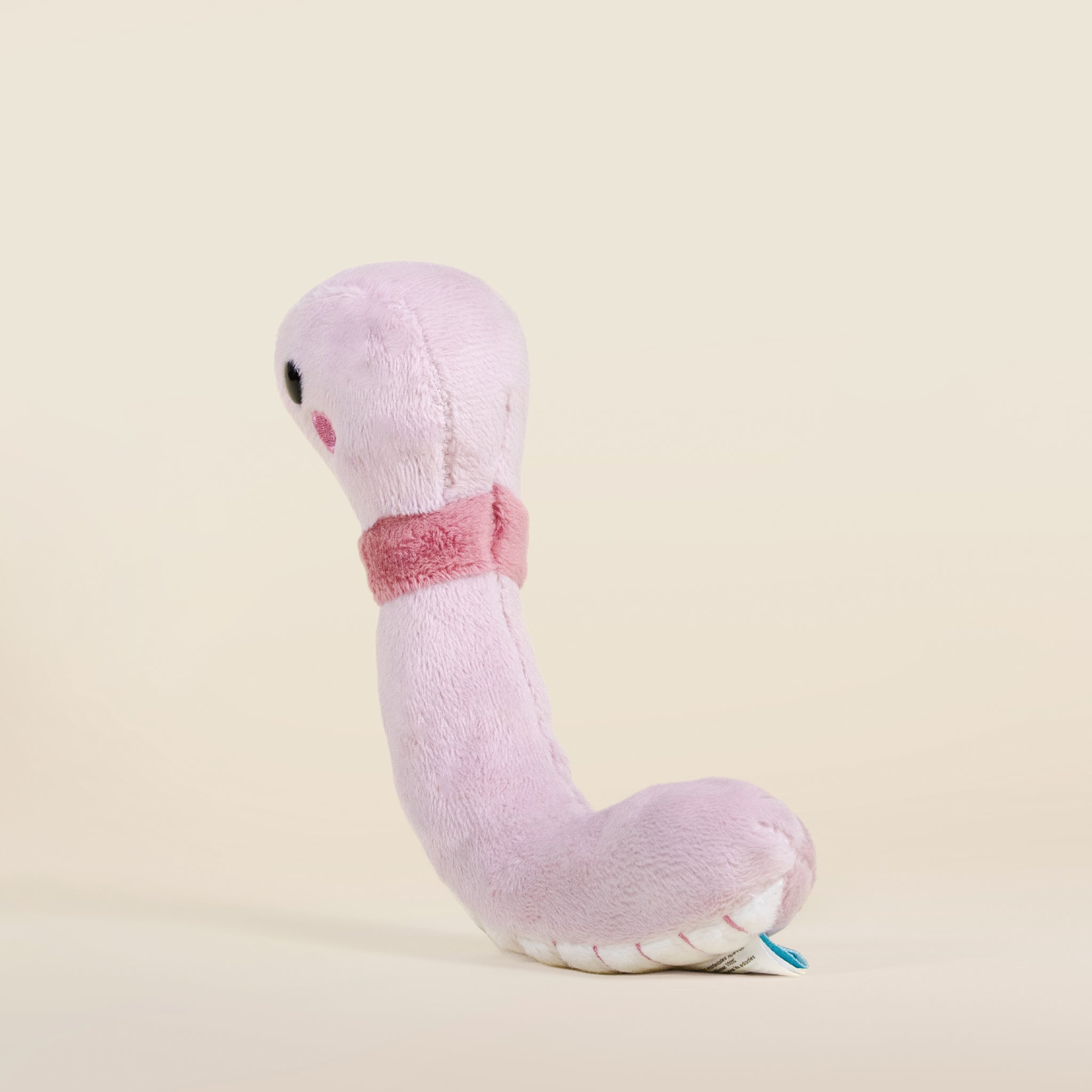 Mini Wormi the Worm