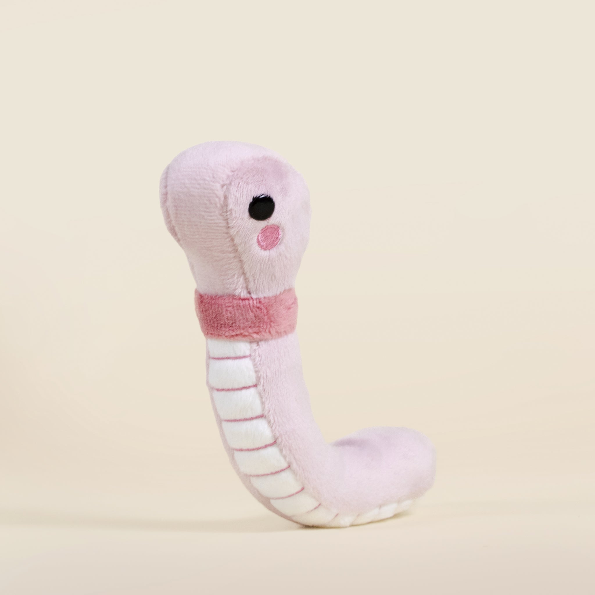 Mini Wormi the Worm